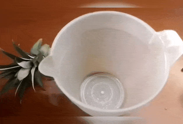 InShot_20230628_165612721-min.gif