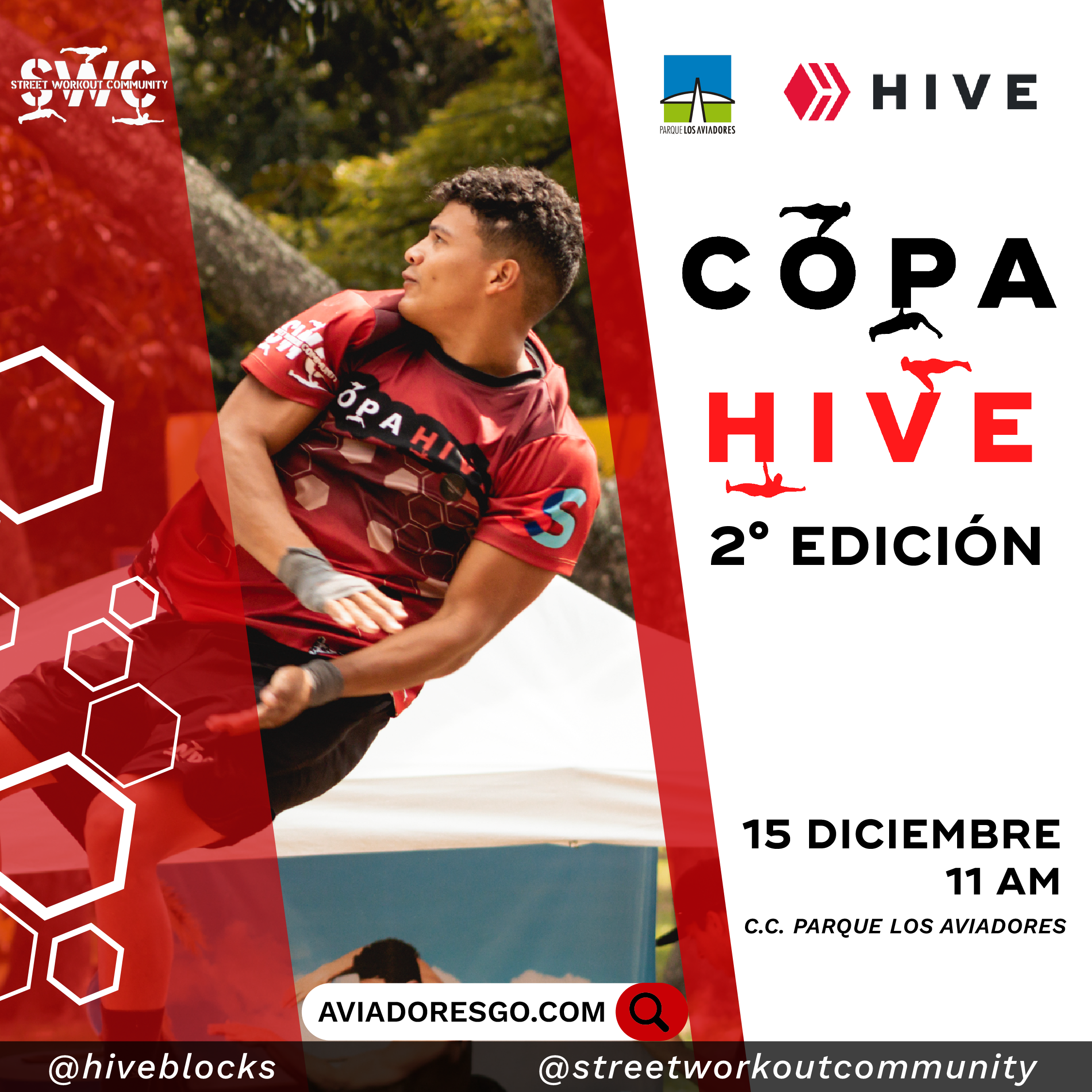 F2 - Copa Hive.png