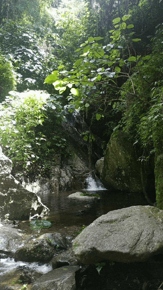 GIF-230928_153352.gif
