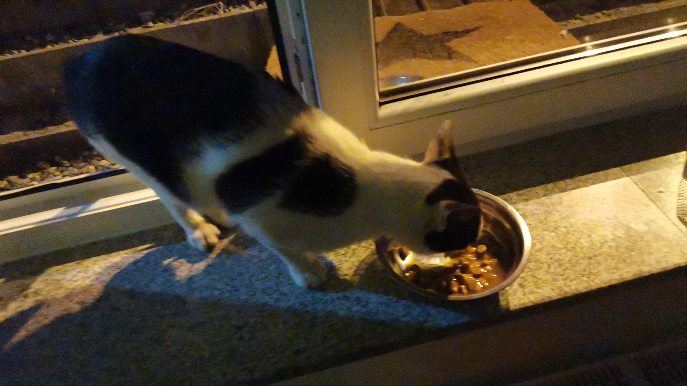 IMG-20250702-WA0022.jpeg