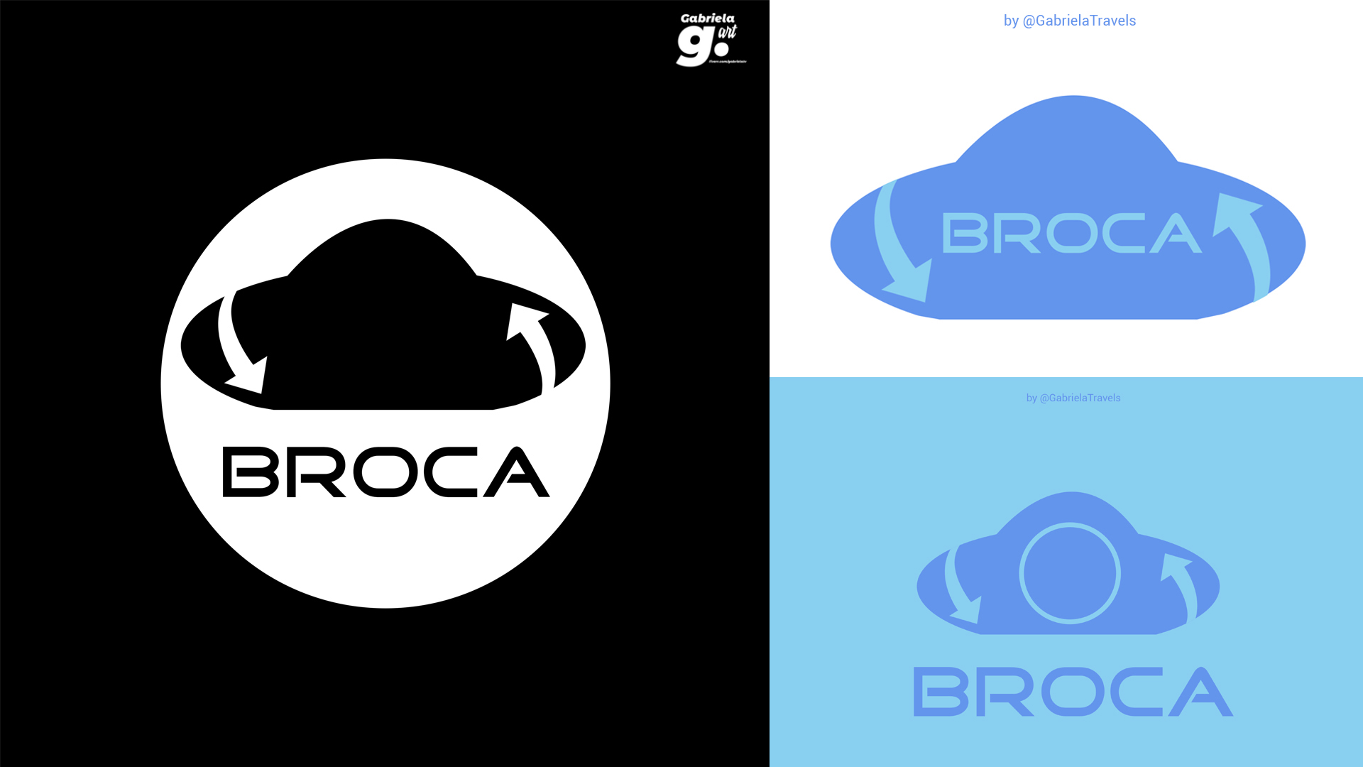 broca panel.jpg