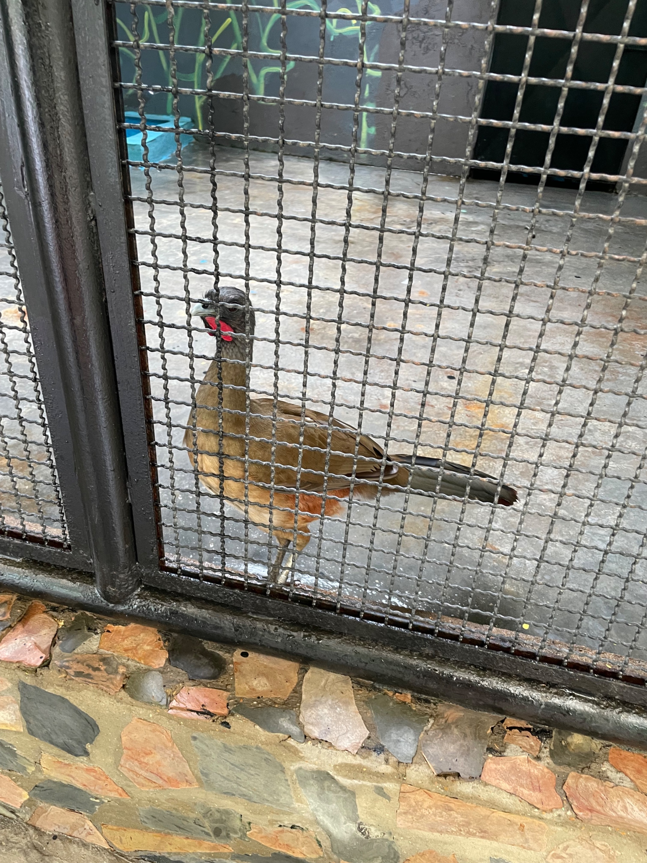 IMG_9816.jpeg