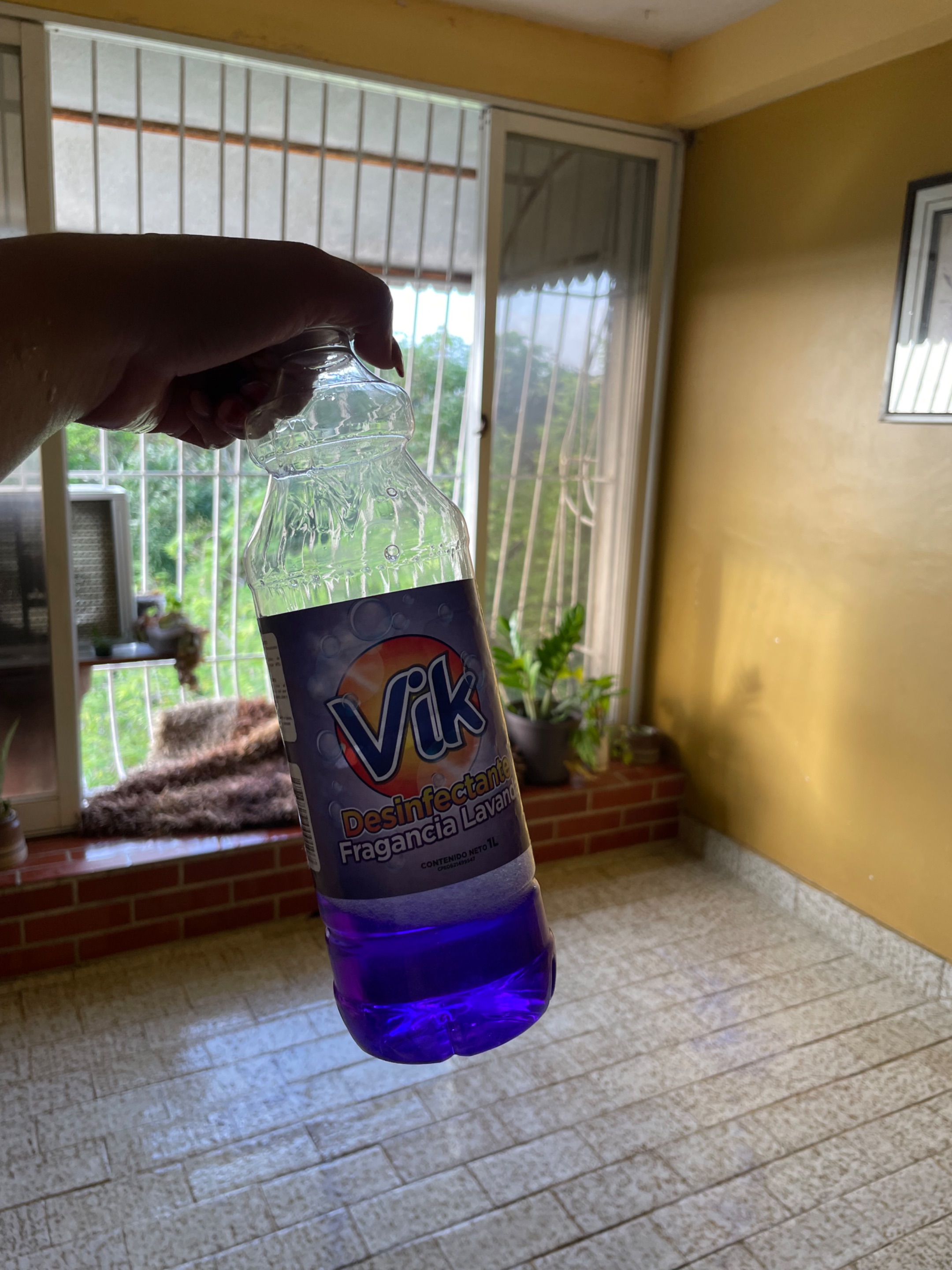 IMG_0277.jpeg