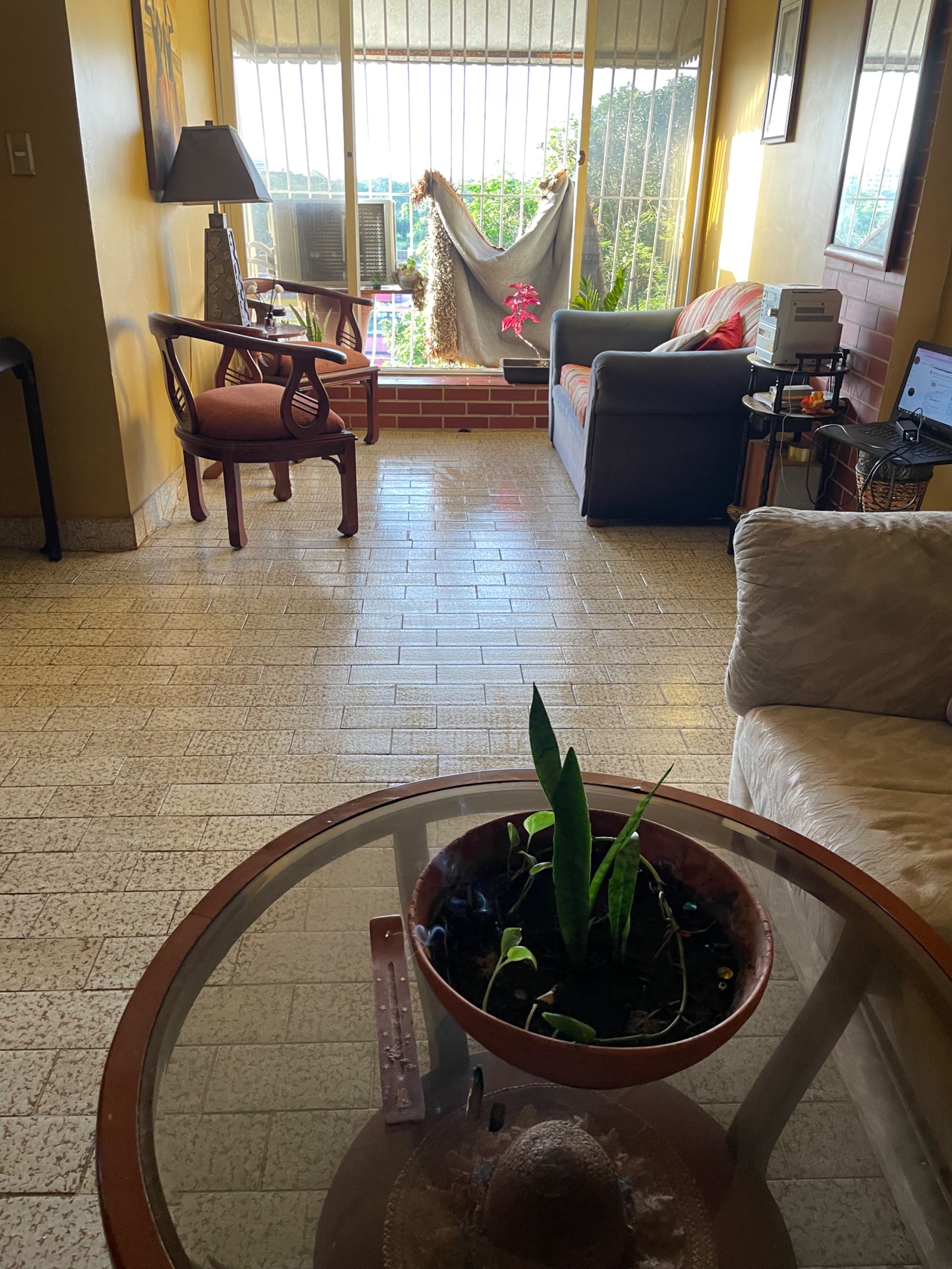 IMG_0285.jpeg