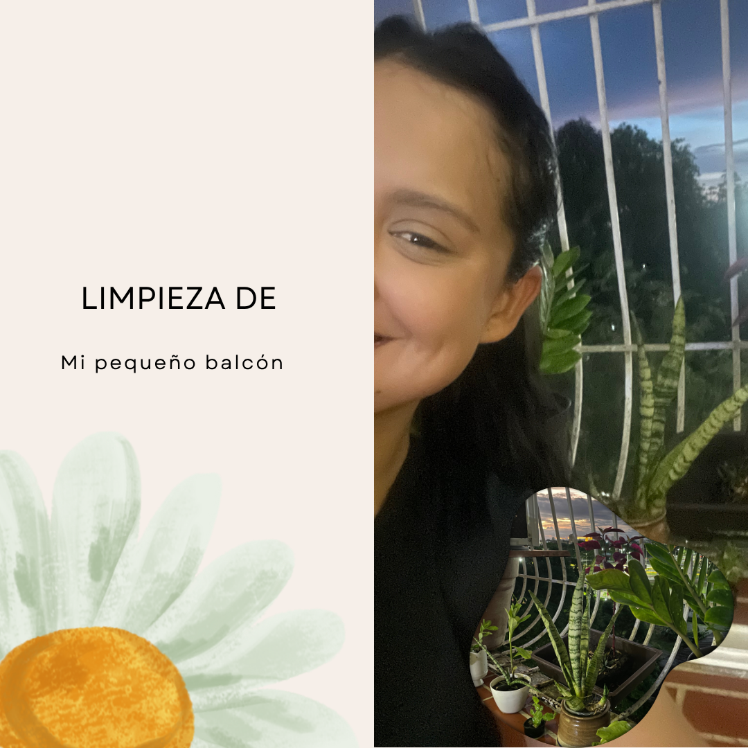 Post de Instagram Frase Motivacional Órganico.png