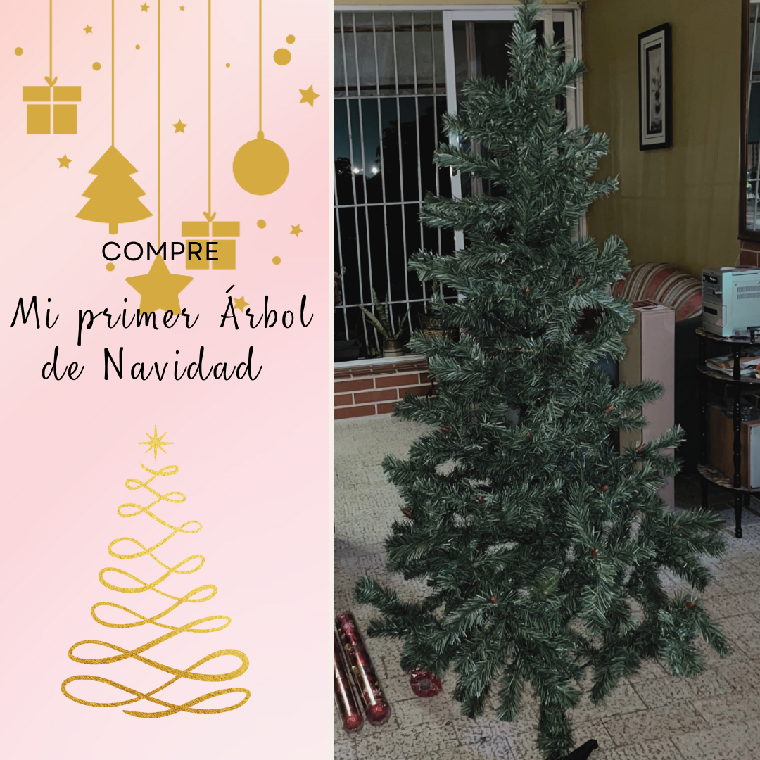 Post de Instagram Frase Motivacional Órganico.png