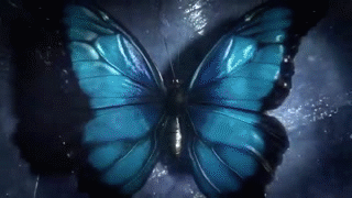 c32d5c34b70d4db3940a255eb1a379f7.gif