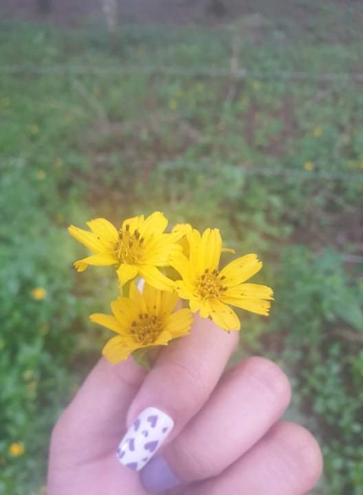 received_387697186320221.jpeg