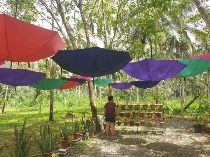 received_558210808566801.jpeg