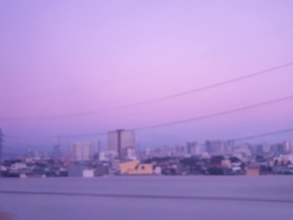 0030.jpg