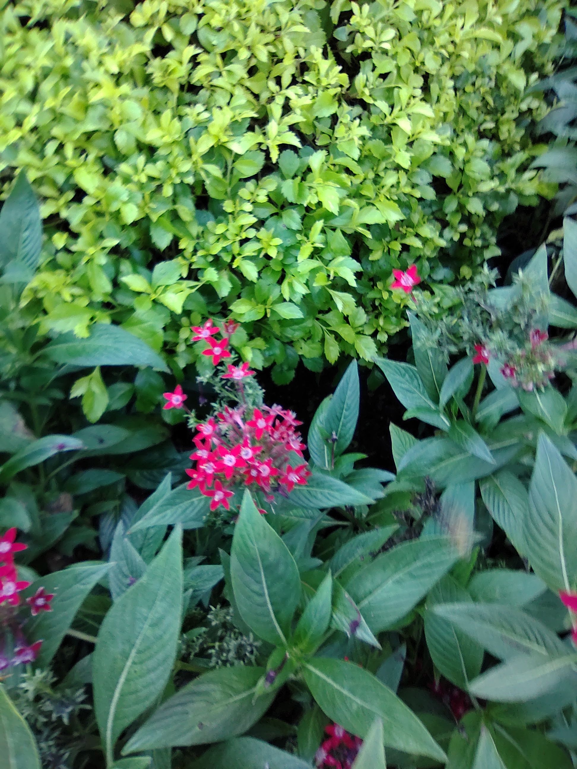 IMG_20211101_085638801.jpg