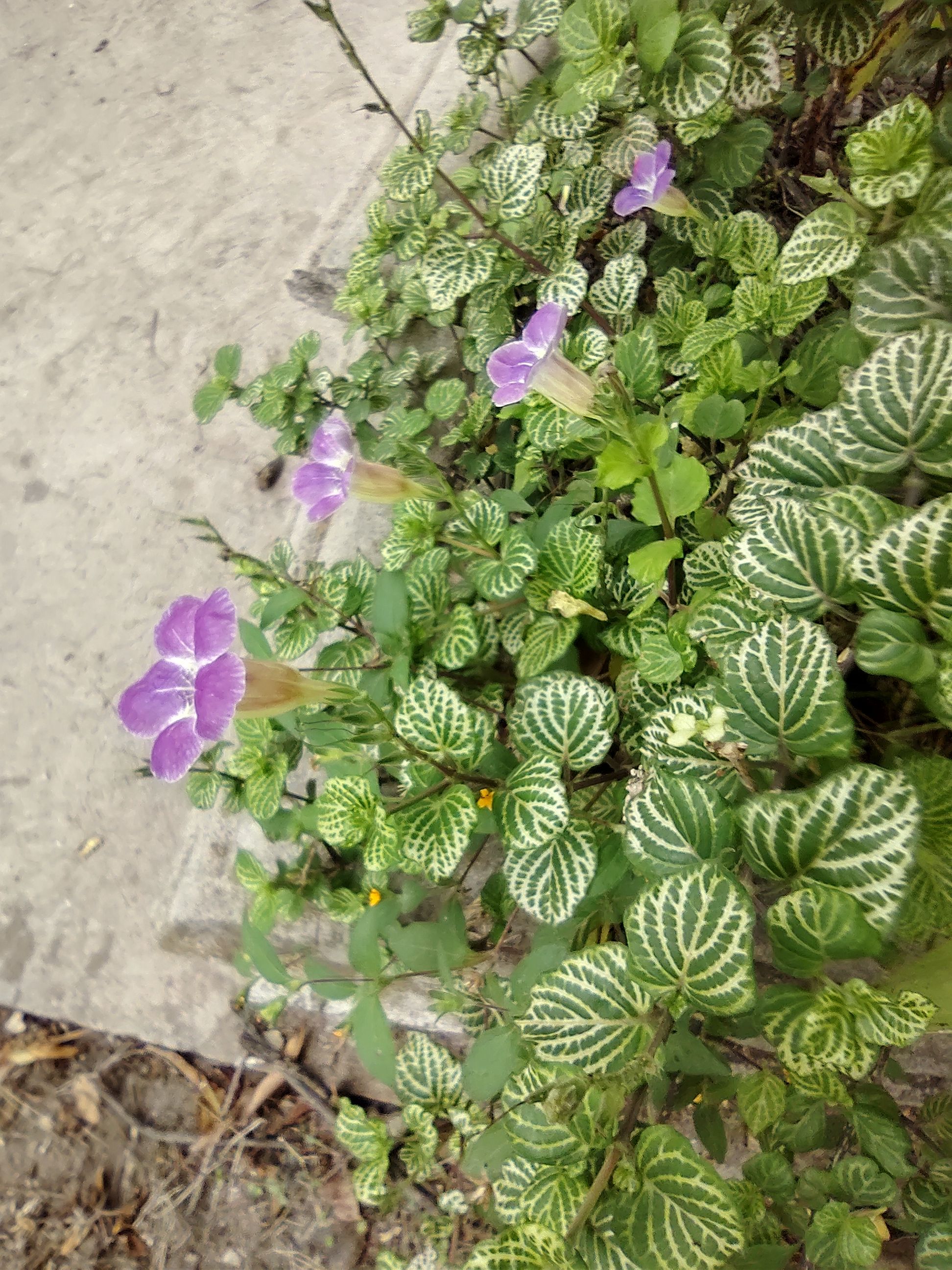 IMG_20230427_112101169_HDR.jpg