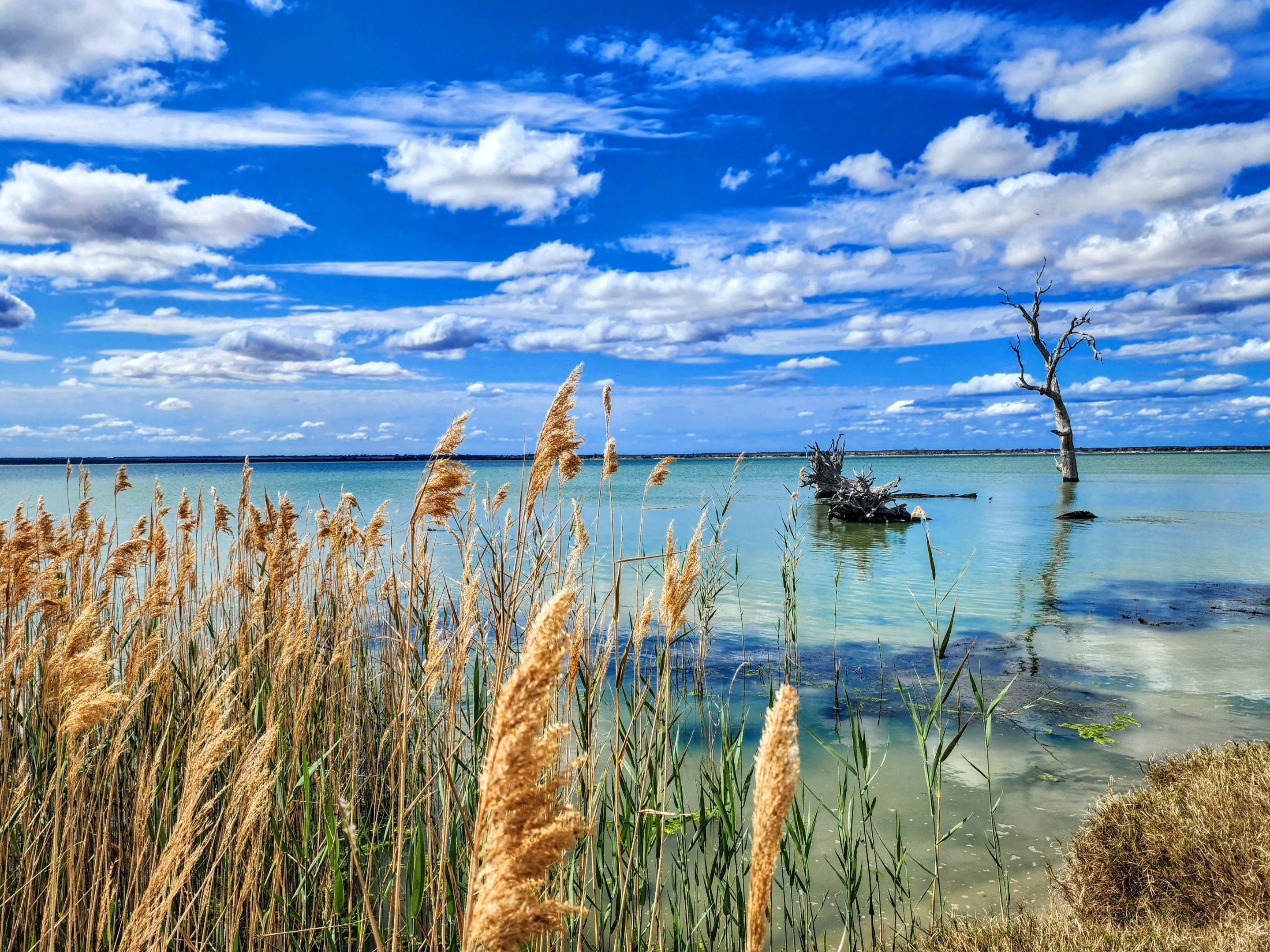 VooTHaarpGag33-1 (1).jpg