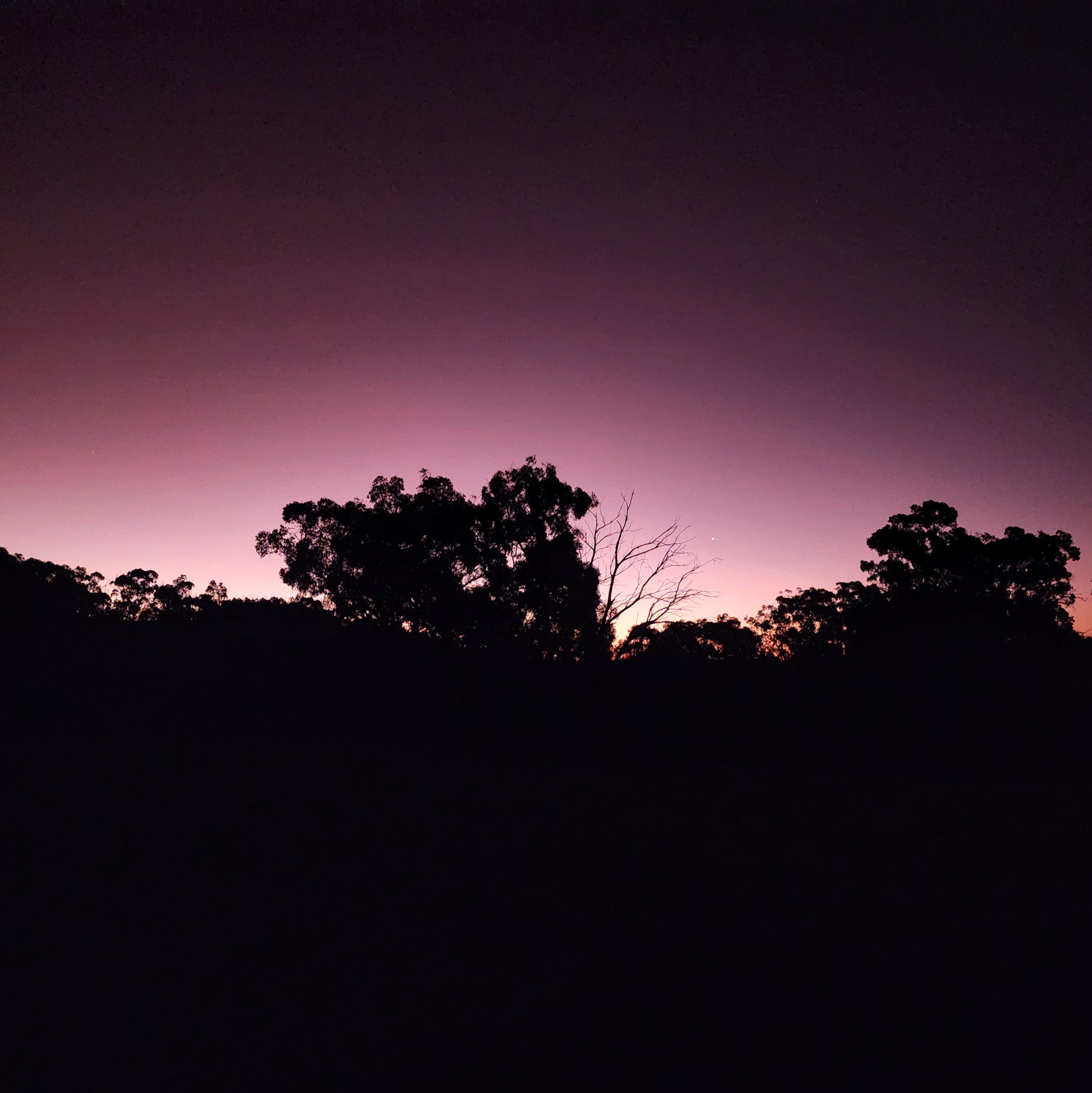 20230316_202121~2.jpg
