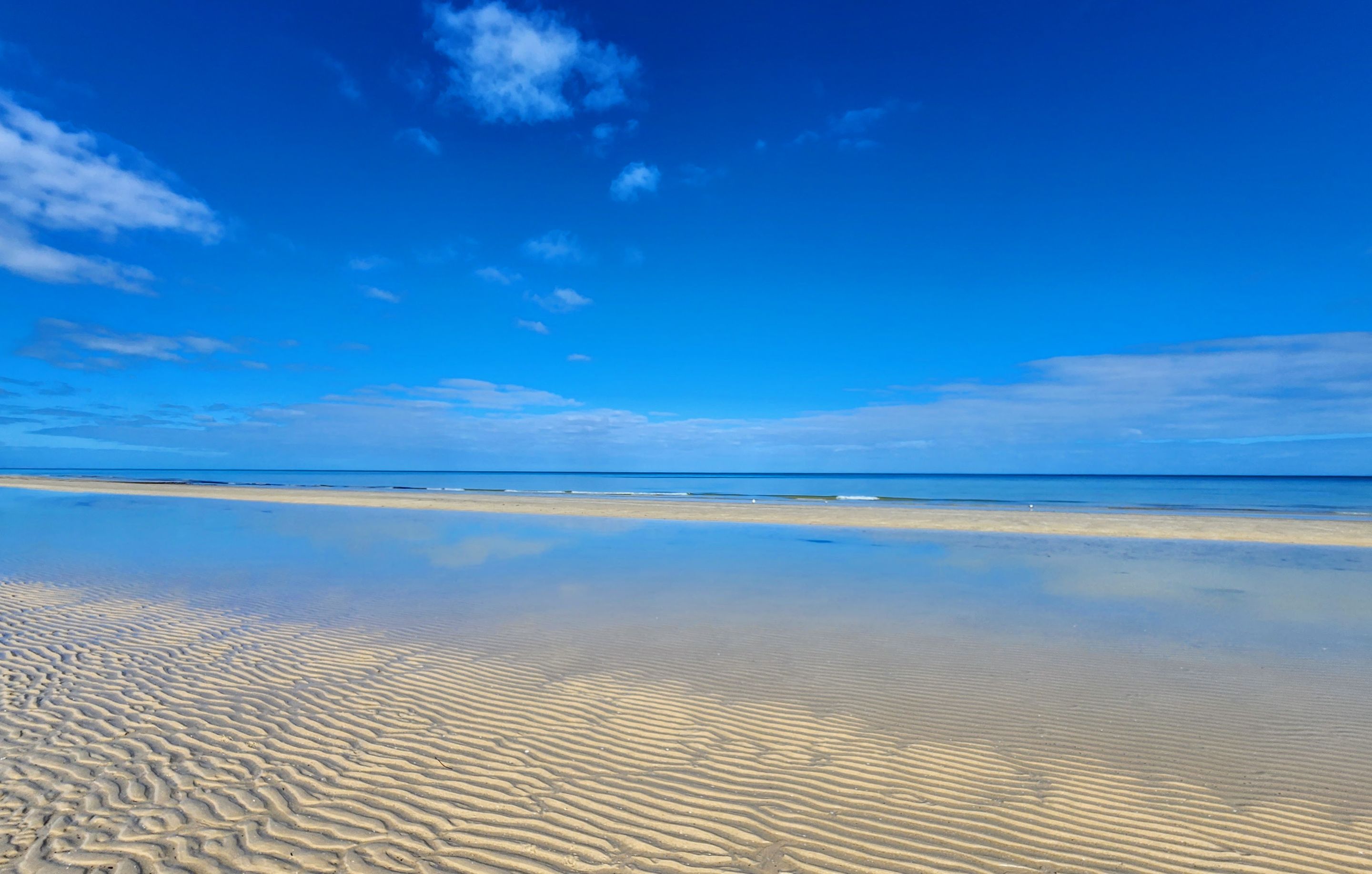 GaCCblatherwoq3356 (2).jpg