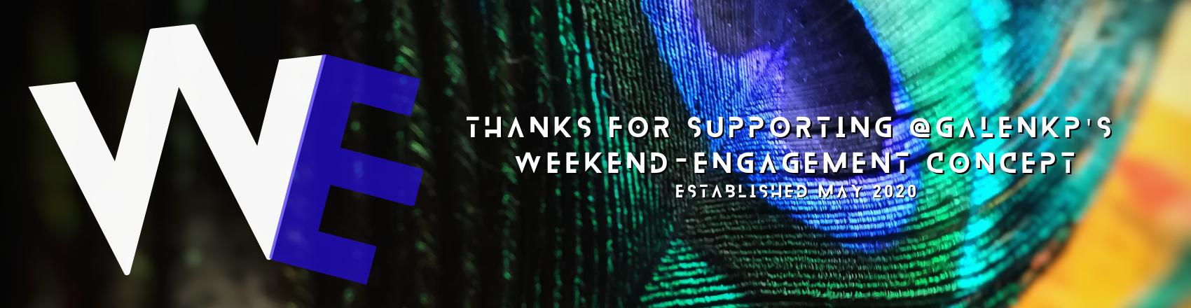 WE THX IM.png