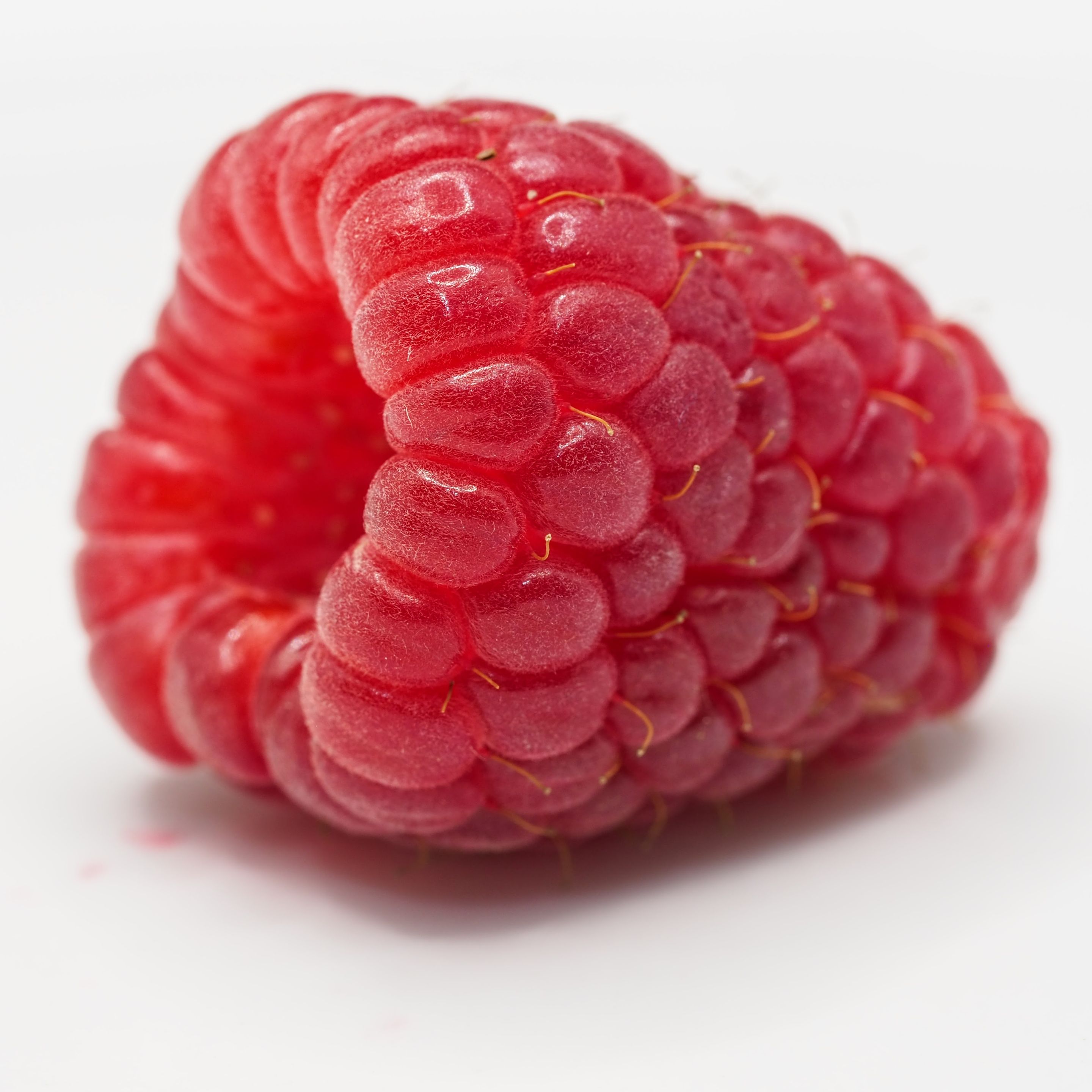 brNfss0977.JPG