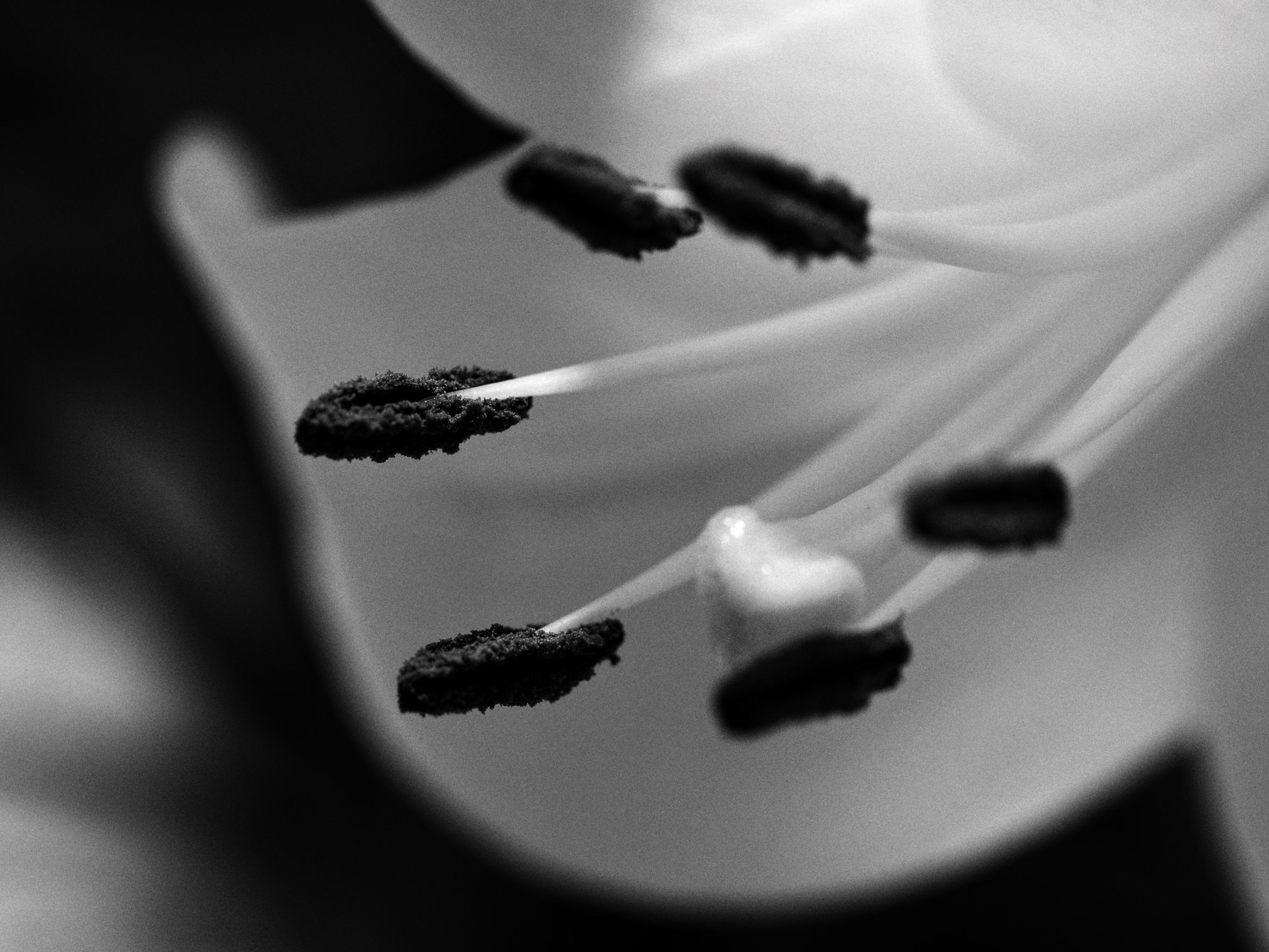 bw241389 (2).jpeg