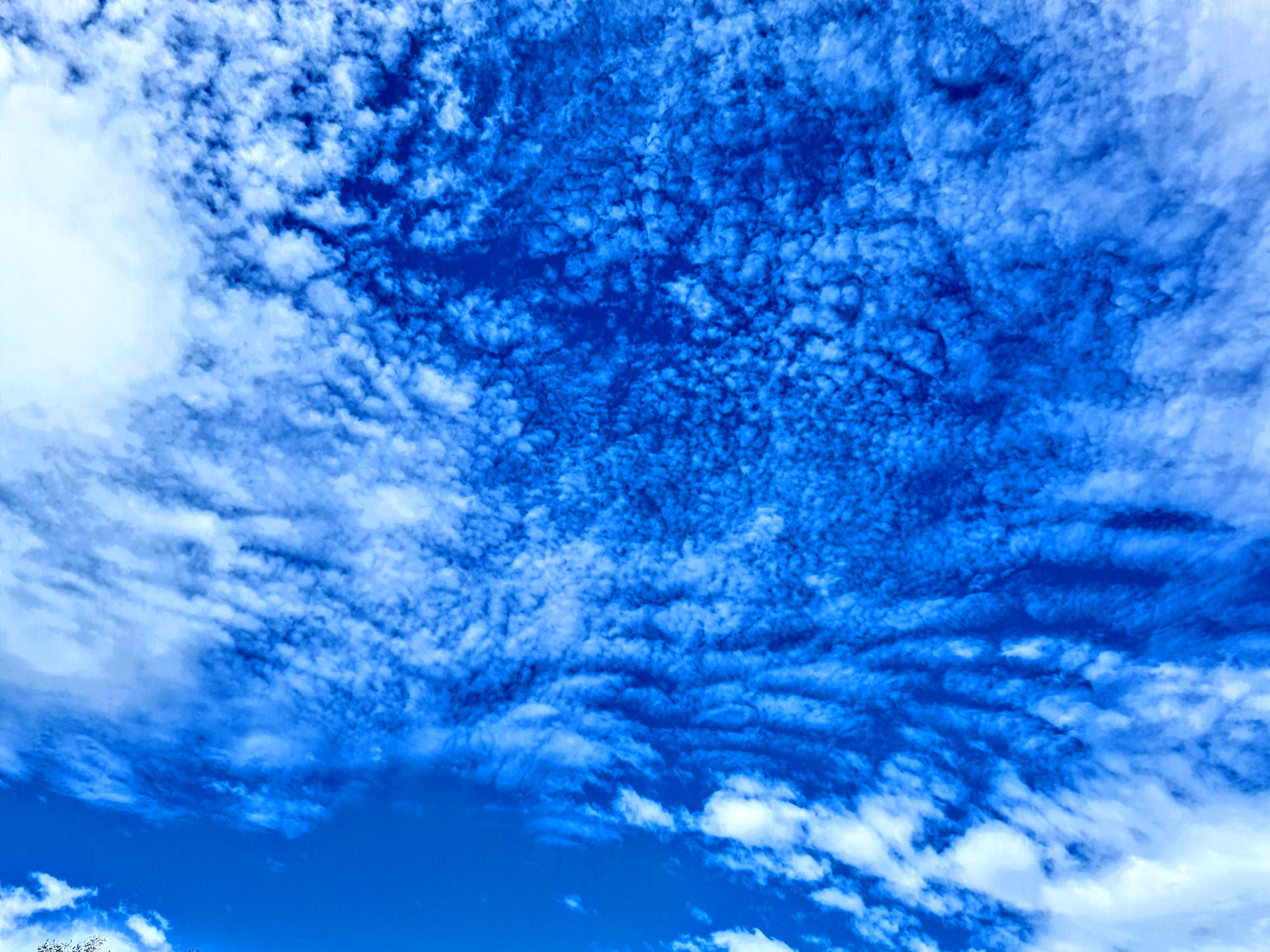 20211009_132816_2.jpg