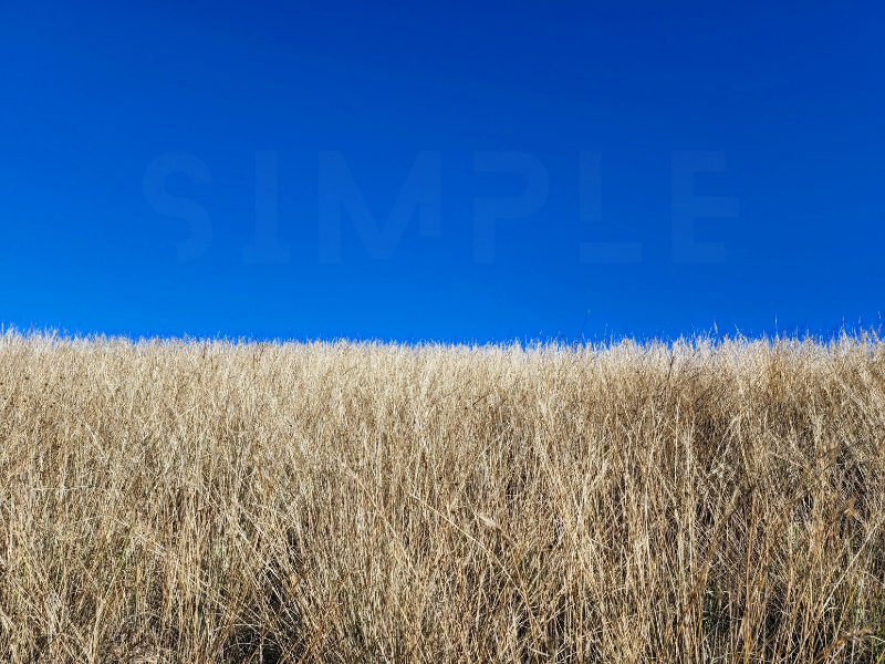 800x600 .png