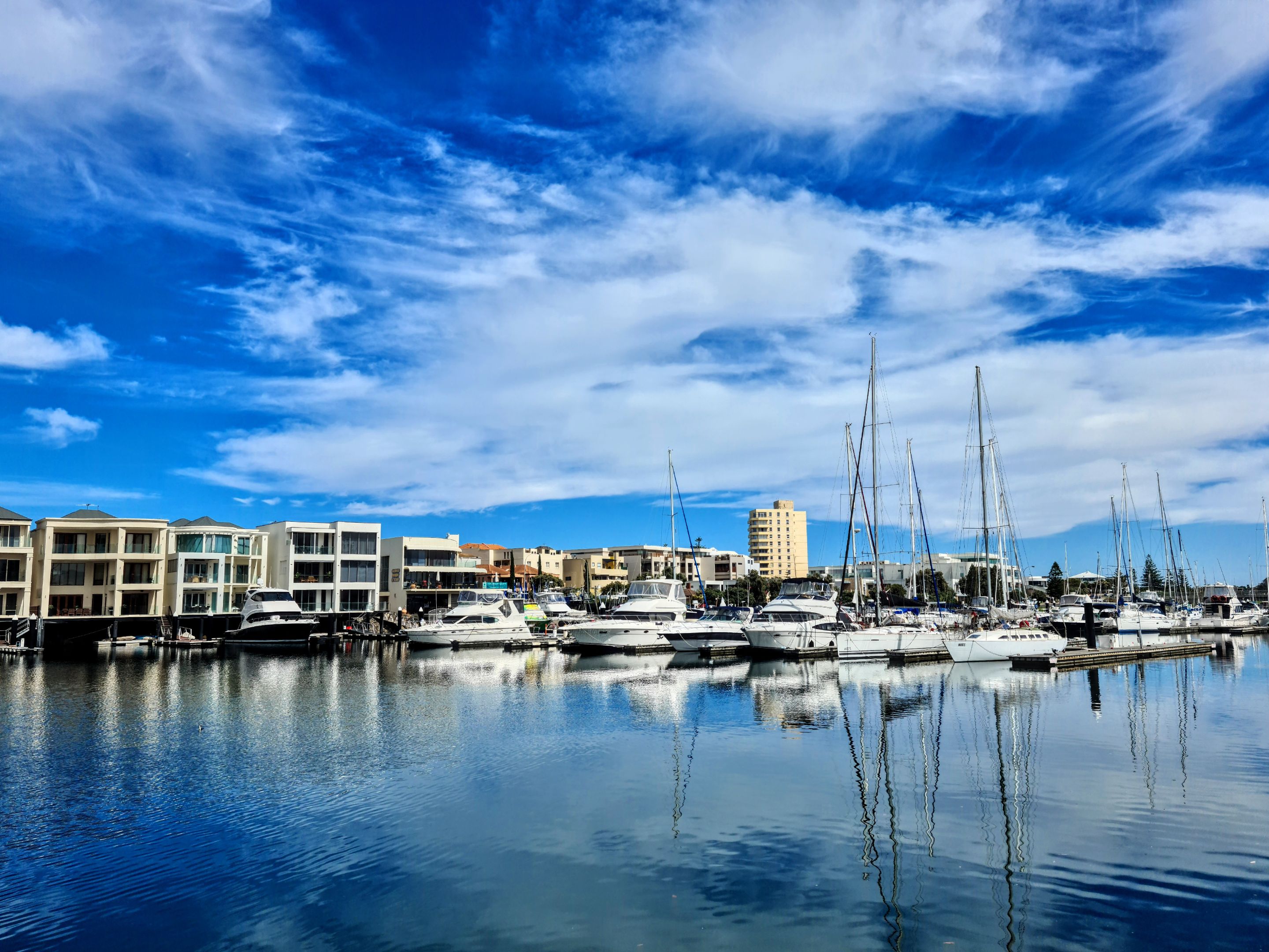 FuqXXsOOperblav551 (2).jpg