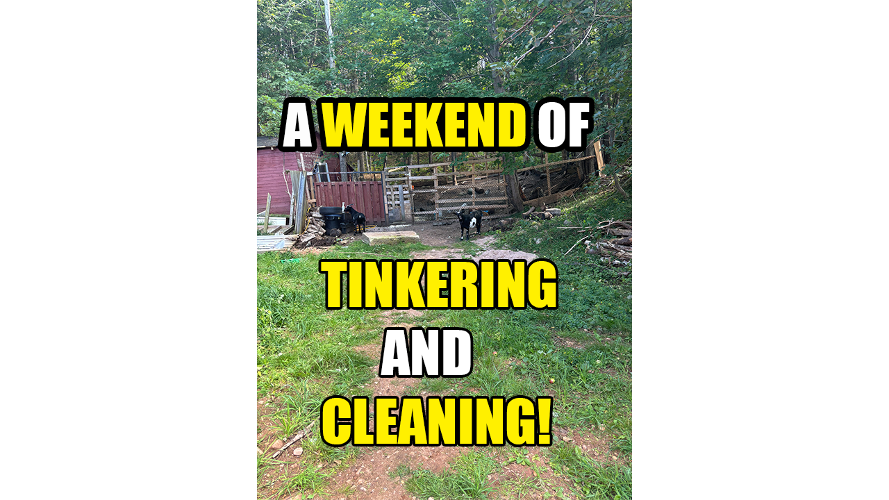 WEEKEND.png