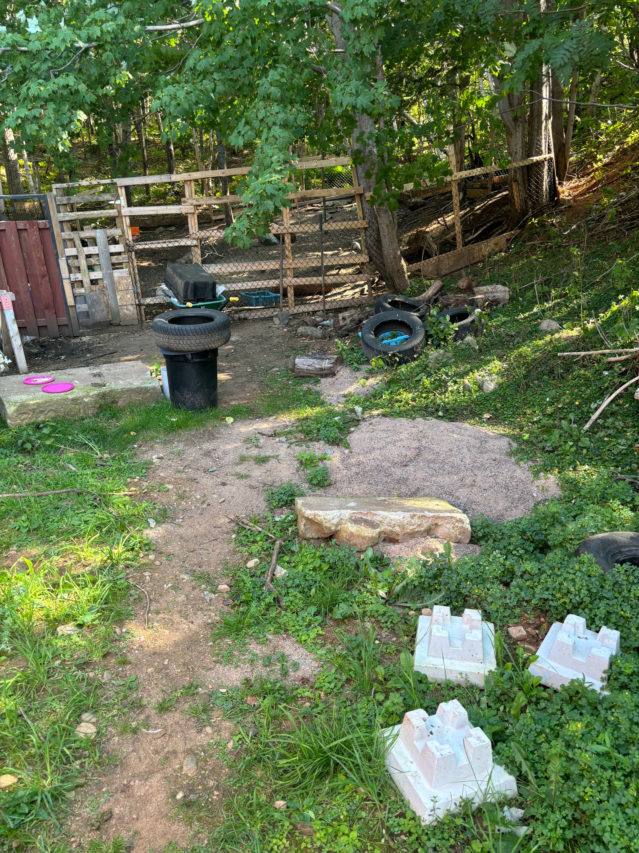 image_67548673 (1).JPG