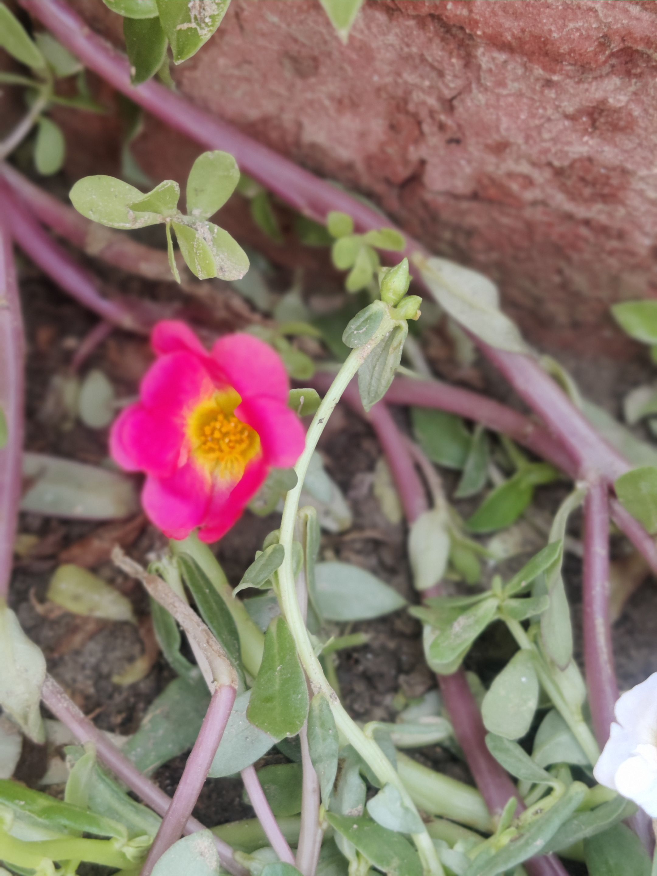 IMG_20231009_103030_Bokeh.jpg