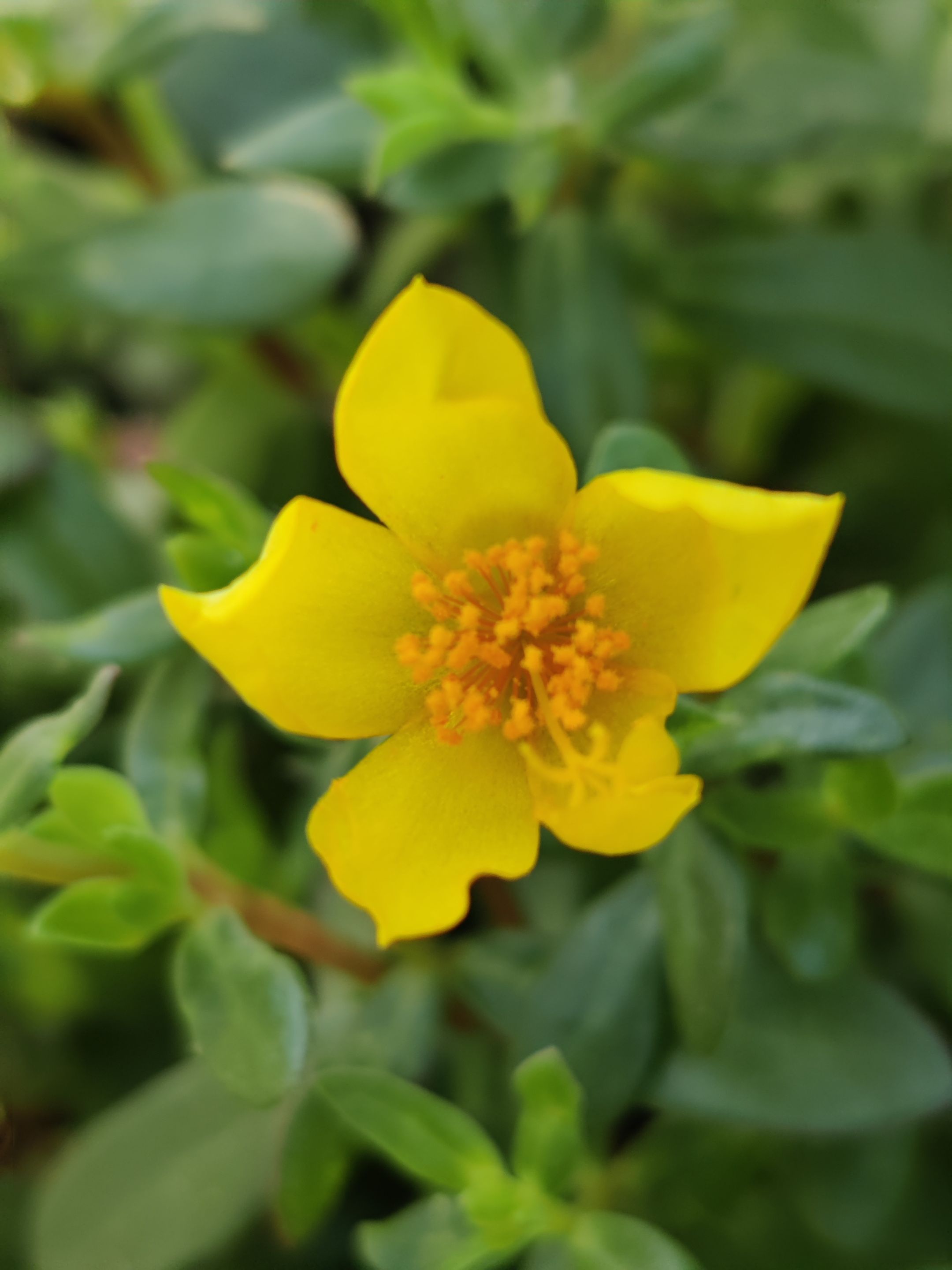 IMG_20231014_081830_Bokeh.jpg