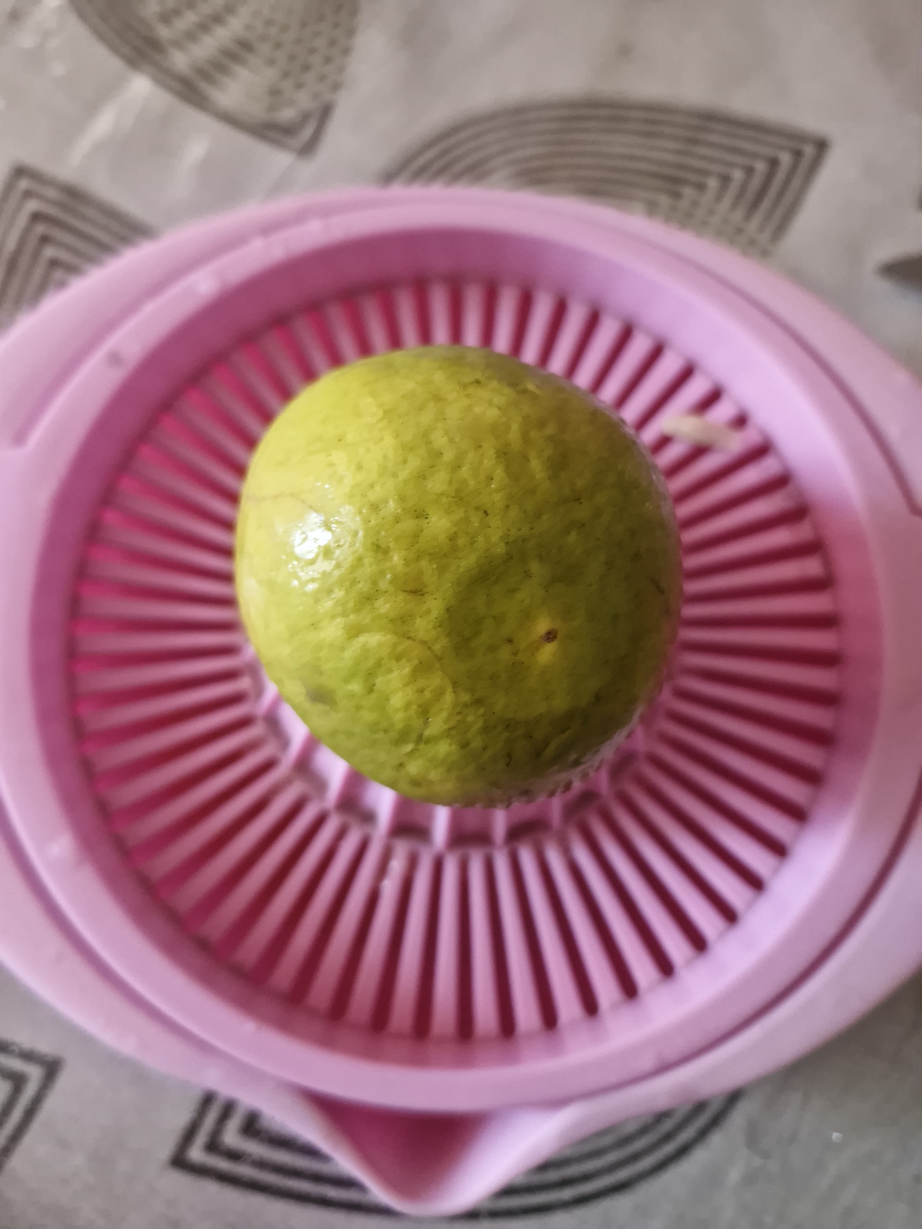 1000501877.jpg