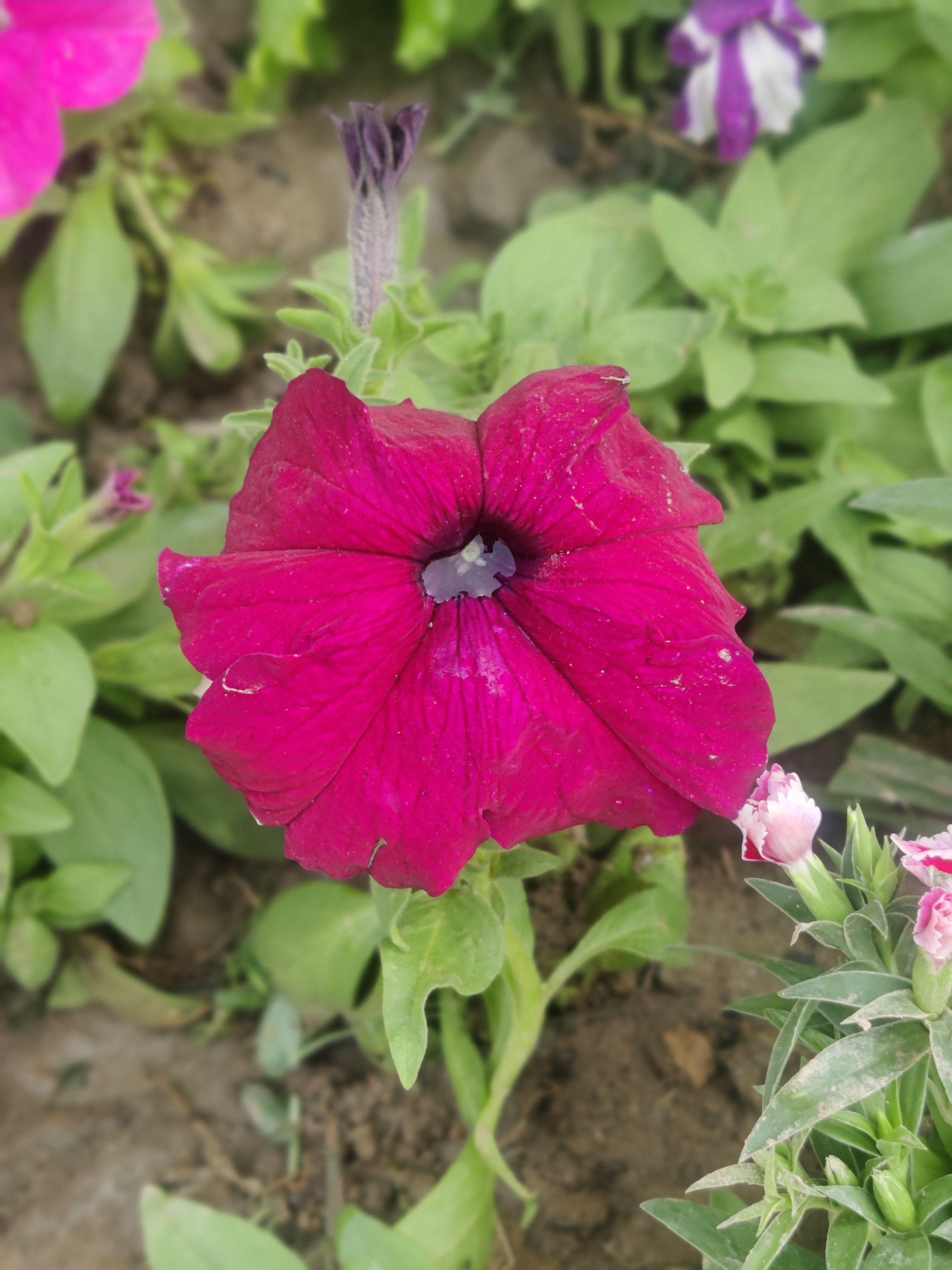 IMG_20231109_092426_Bokeh.jpg