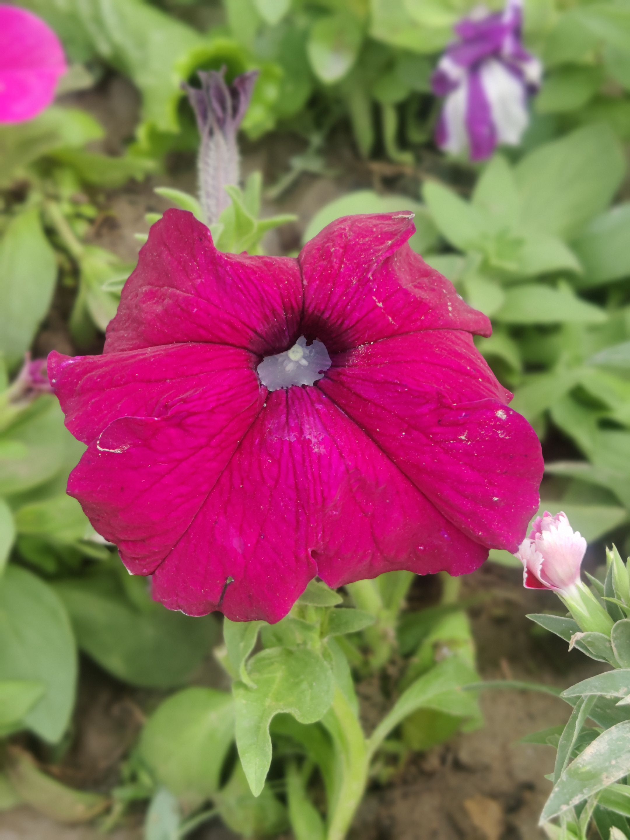 IMG_20231109_092424_Bokeh.jpg