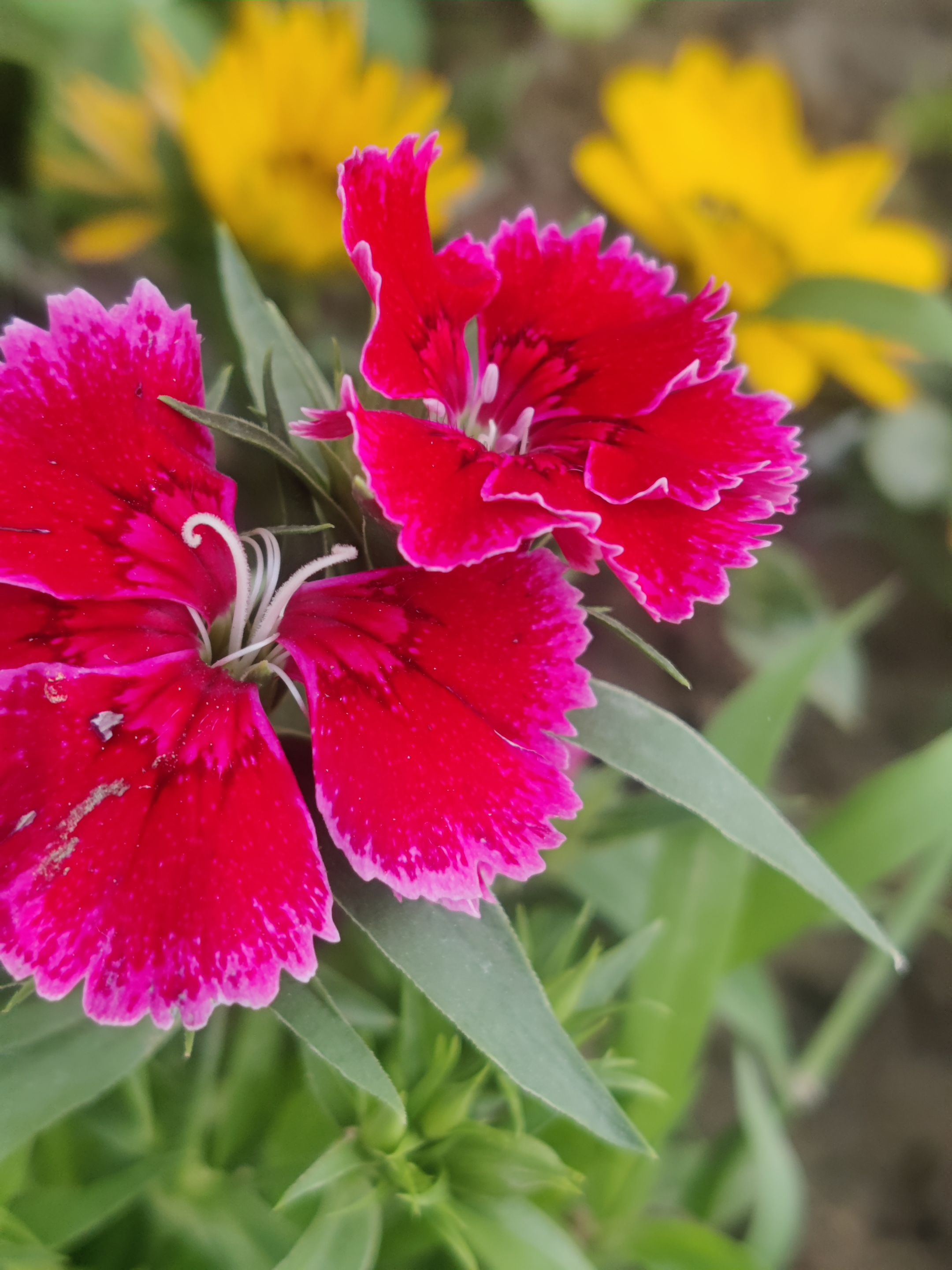 IMG_20231109_092444_Bokeh.jpg