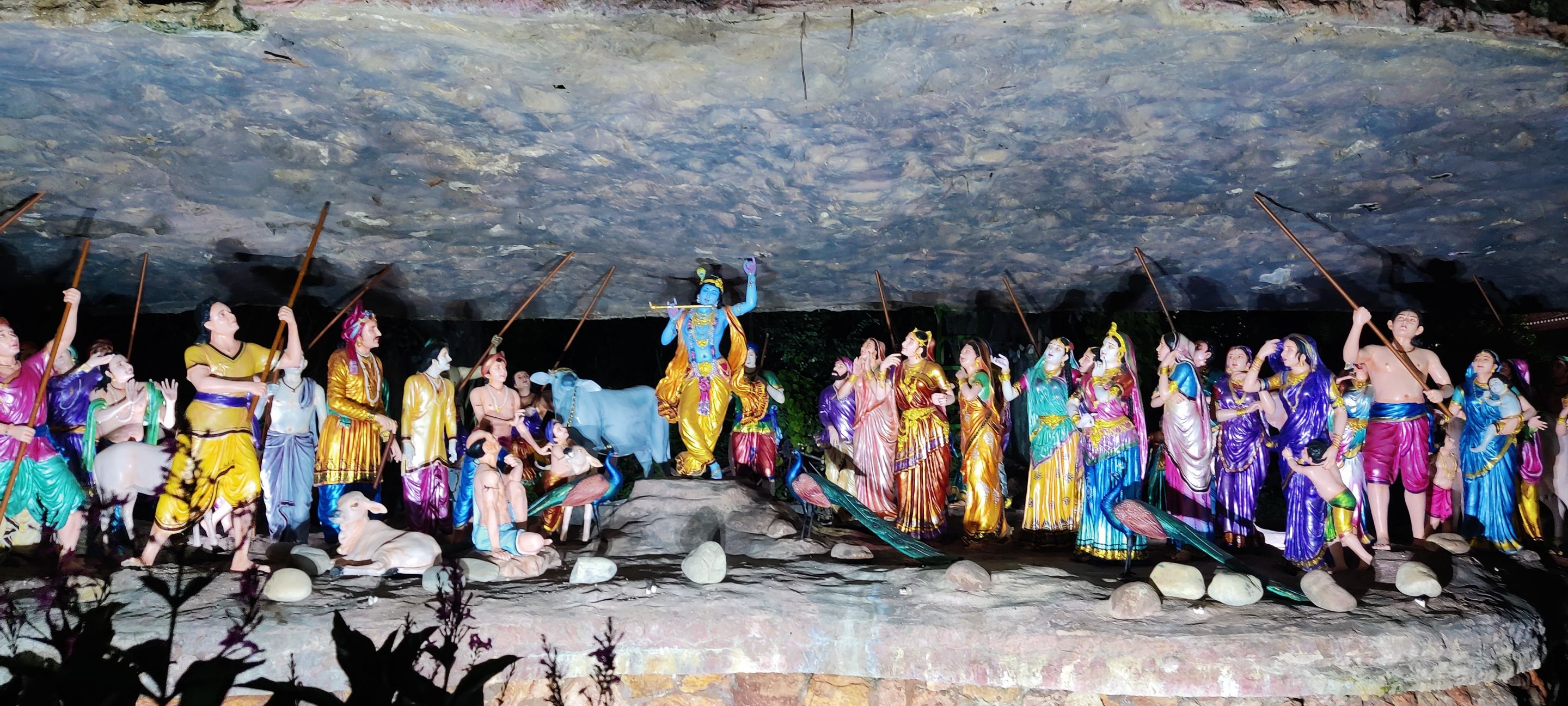 1000495025.jpg