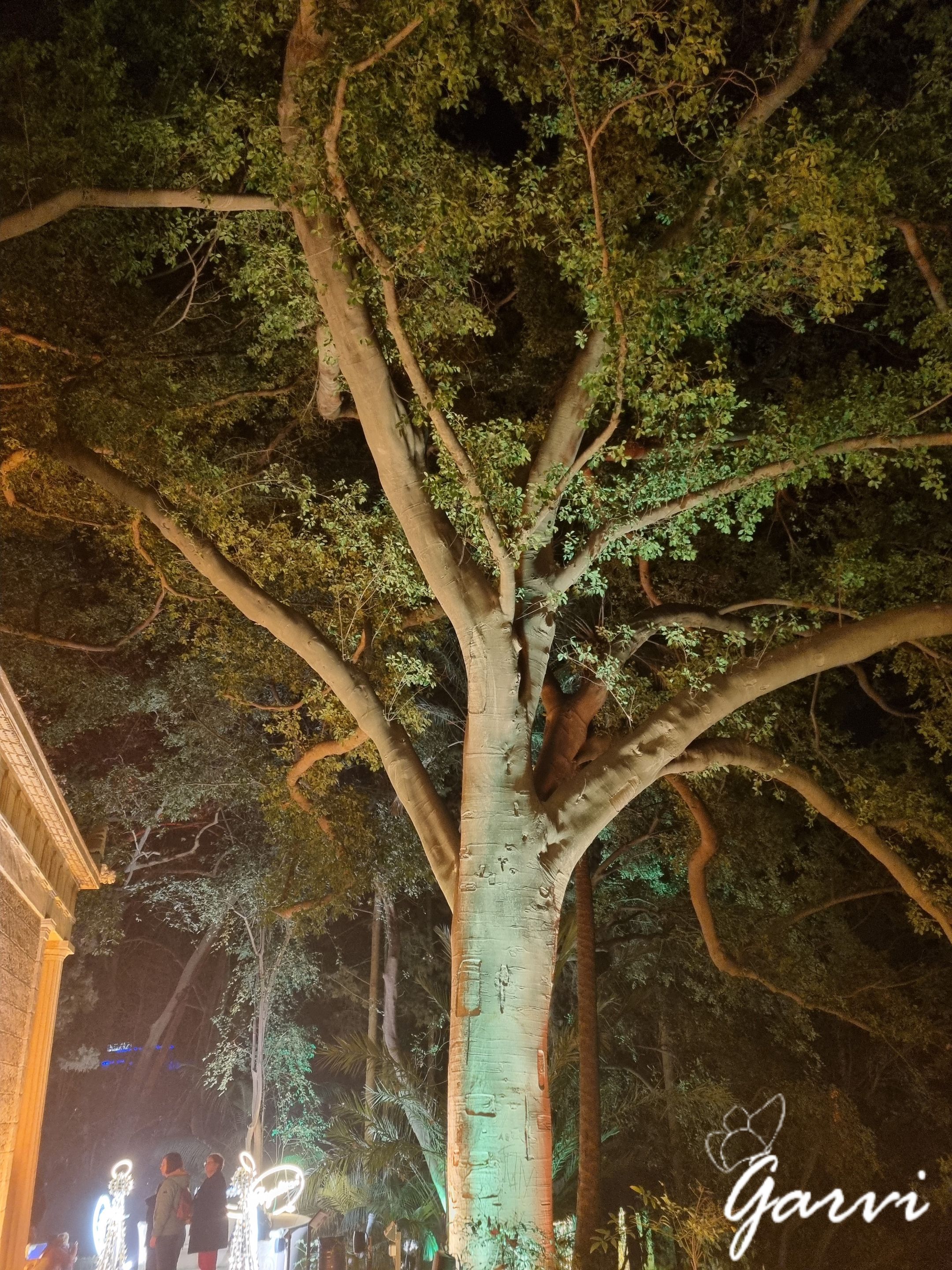 20231228_211439.jpg