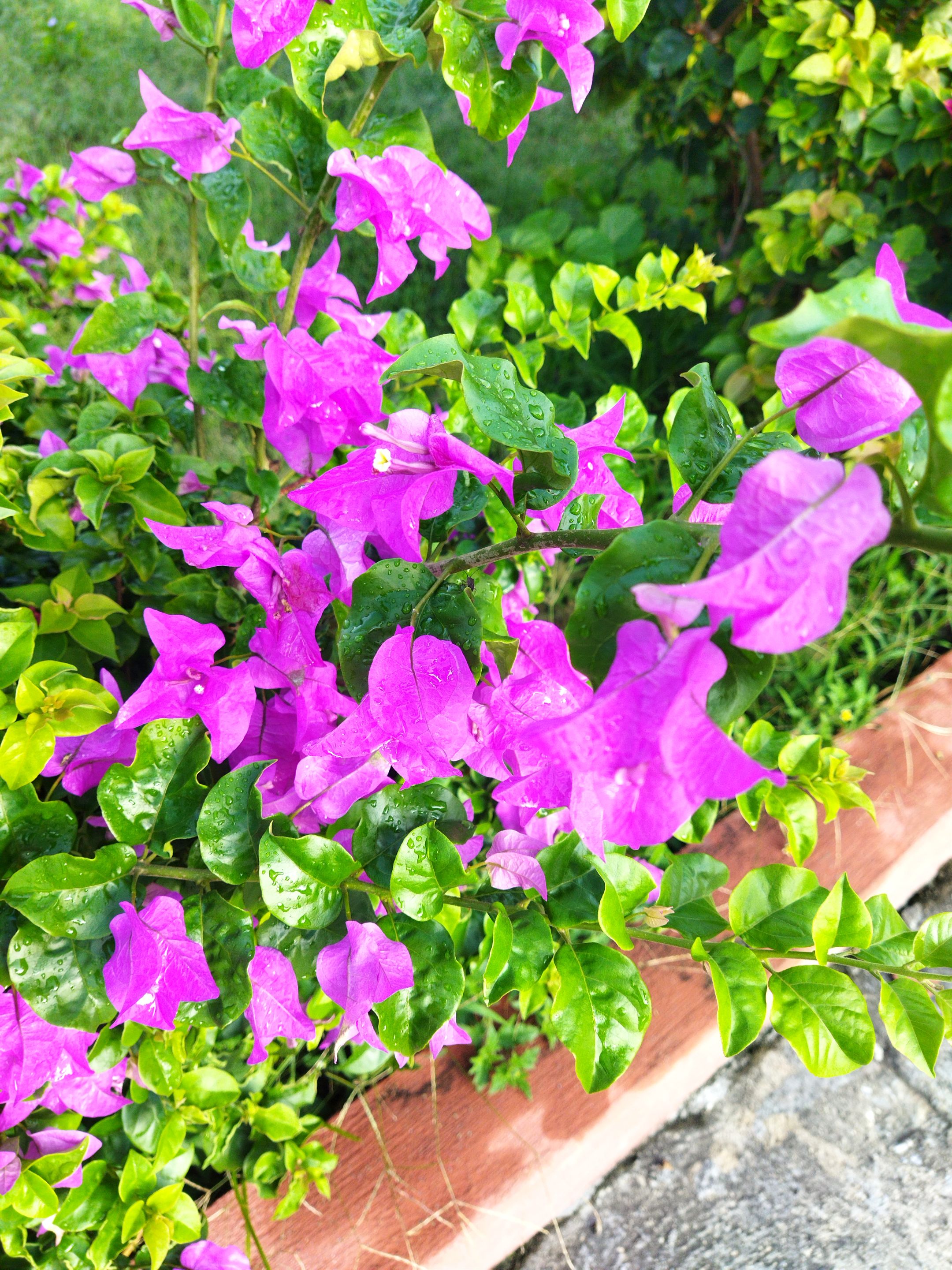 IMG_20250910_155807.jpg