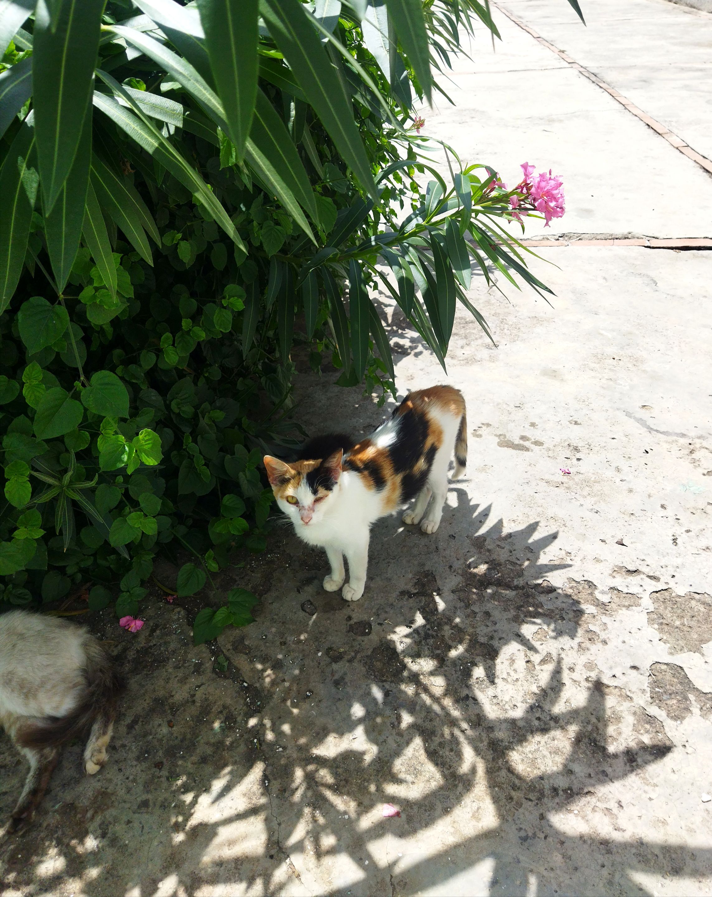 IMG_20250916_164826.jpg