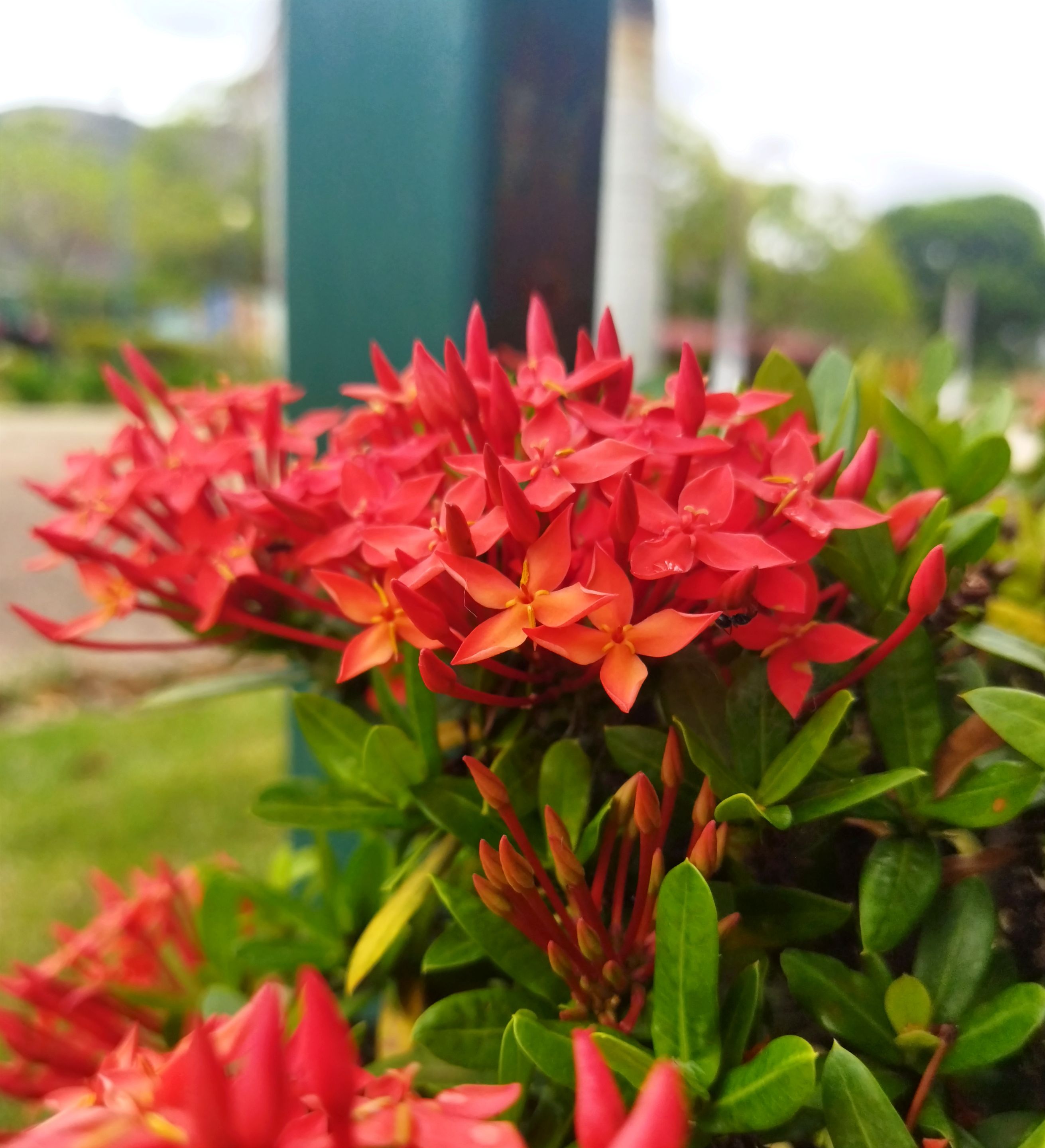 IMG_20250623_170406.jpg