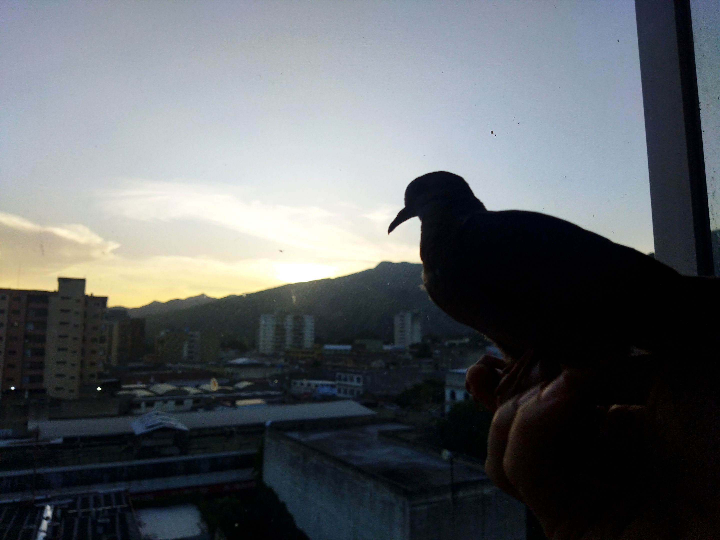 IMG_20250602_214850.jpg