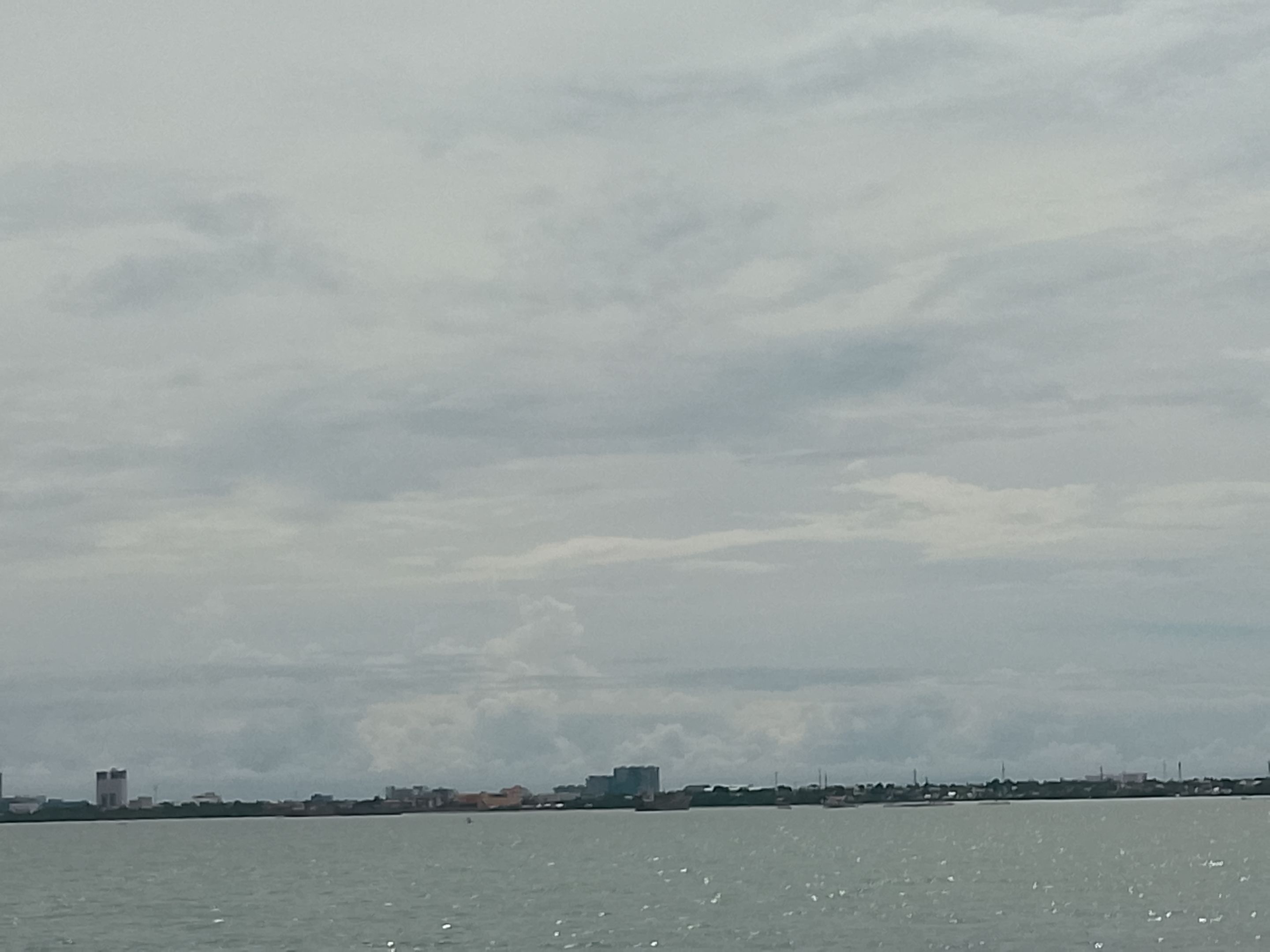 IMG_20241223_120135_977.jpg