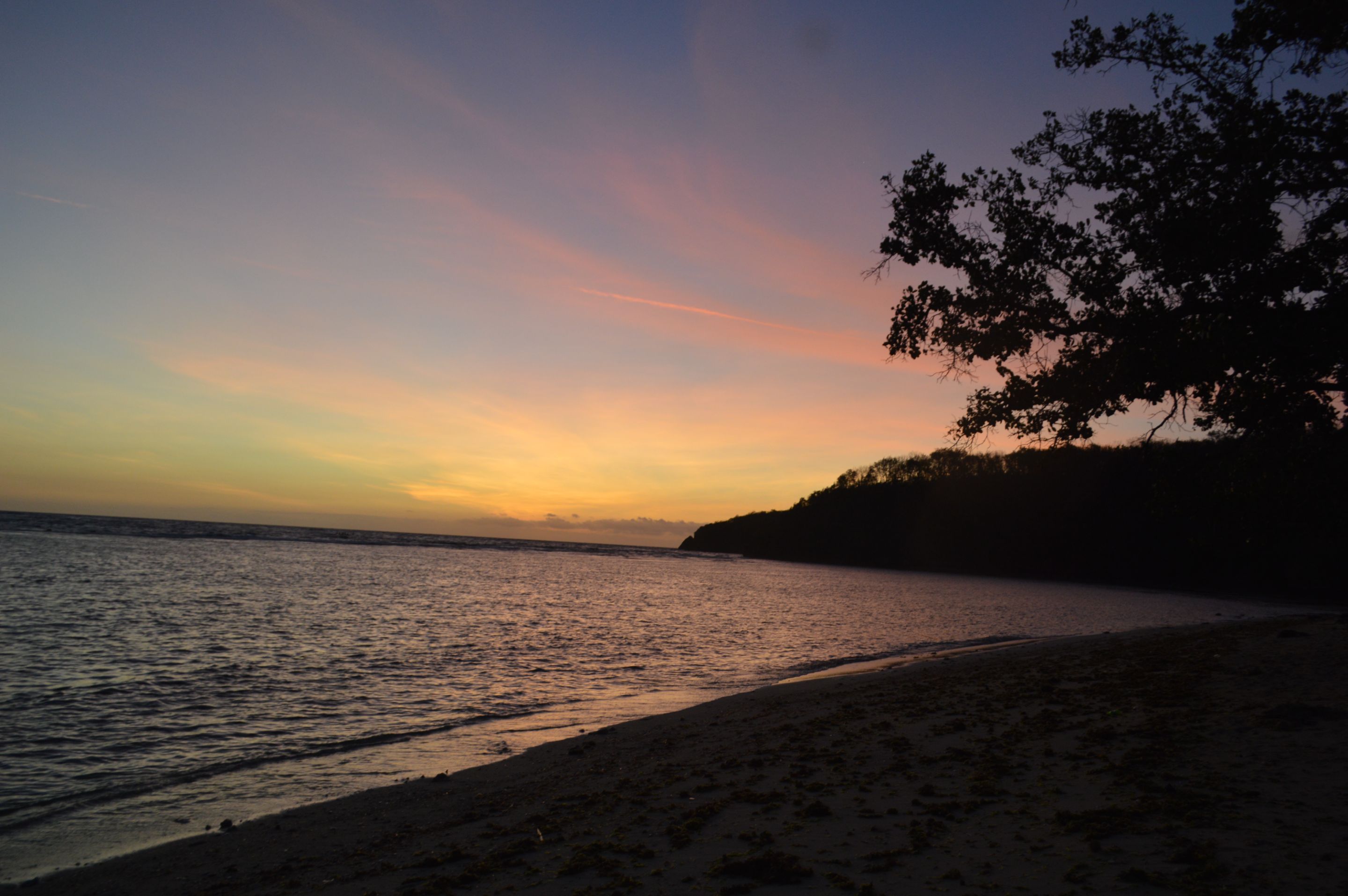 DSC_0390.JPG