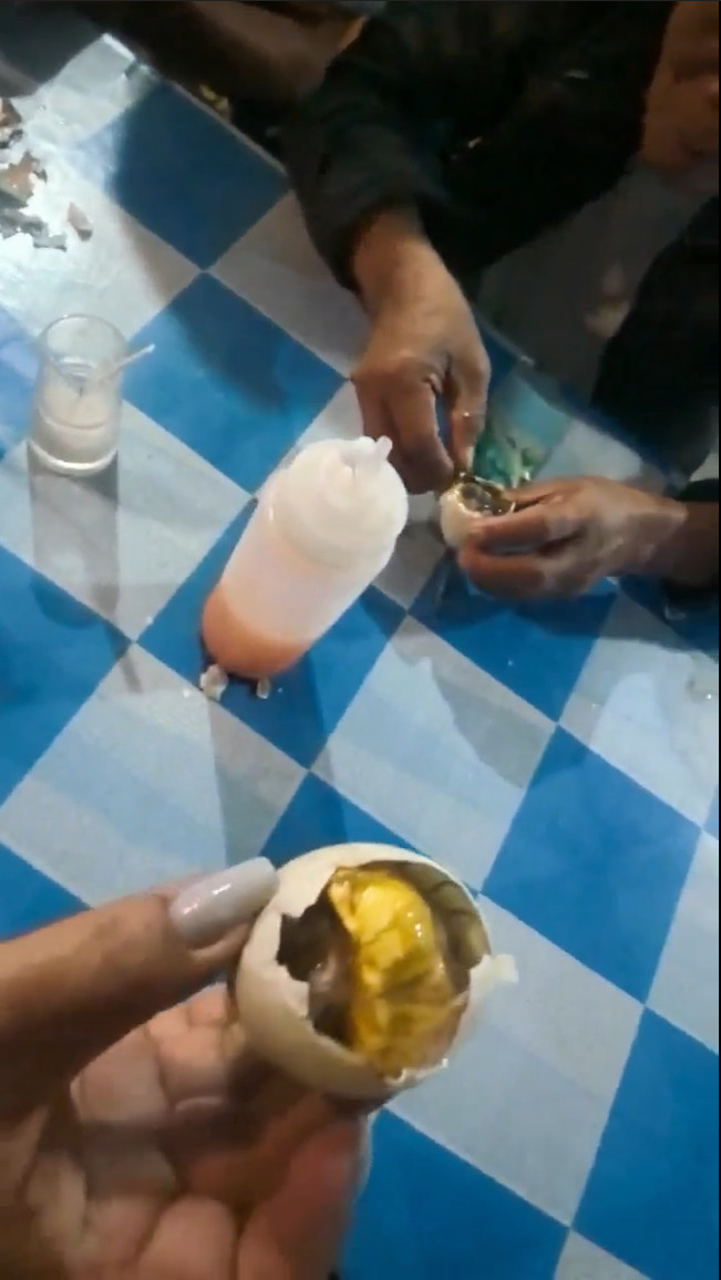 23wqe8znwTtsmMHfjar7XDWHzDPpV8TY2TFxpGUbuRwcgsweycs3nUvtVnDFsmSufcPpC.jpeg