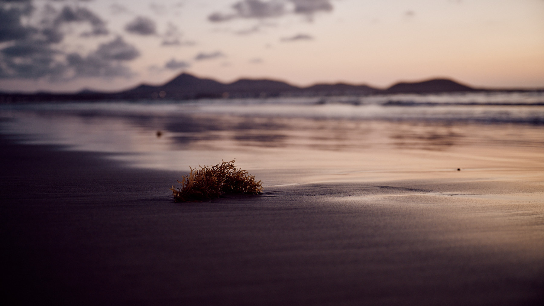 Lanzarote_Famara_AK1_4528_web.jpg