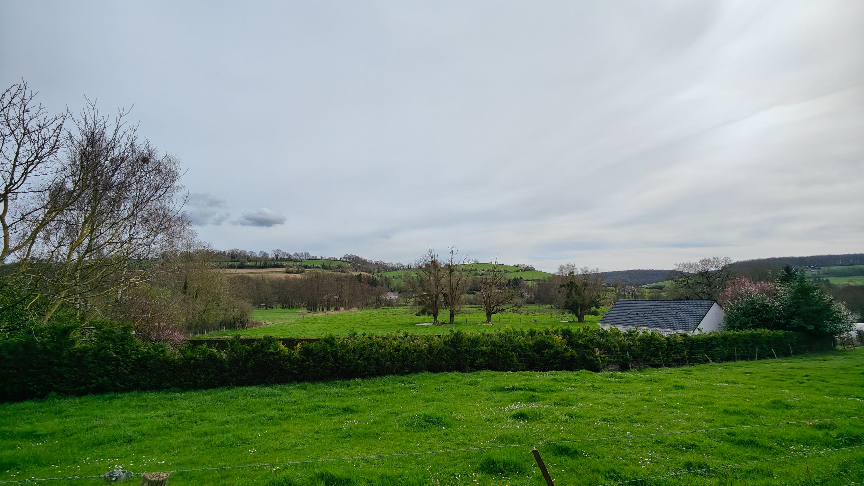 IMG20240320125014.jpg