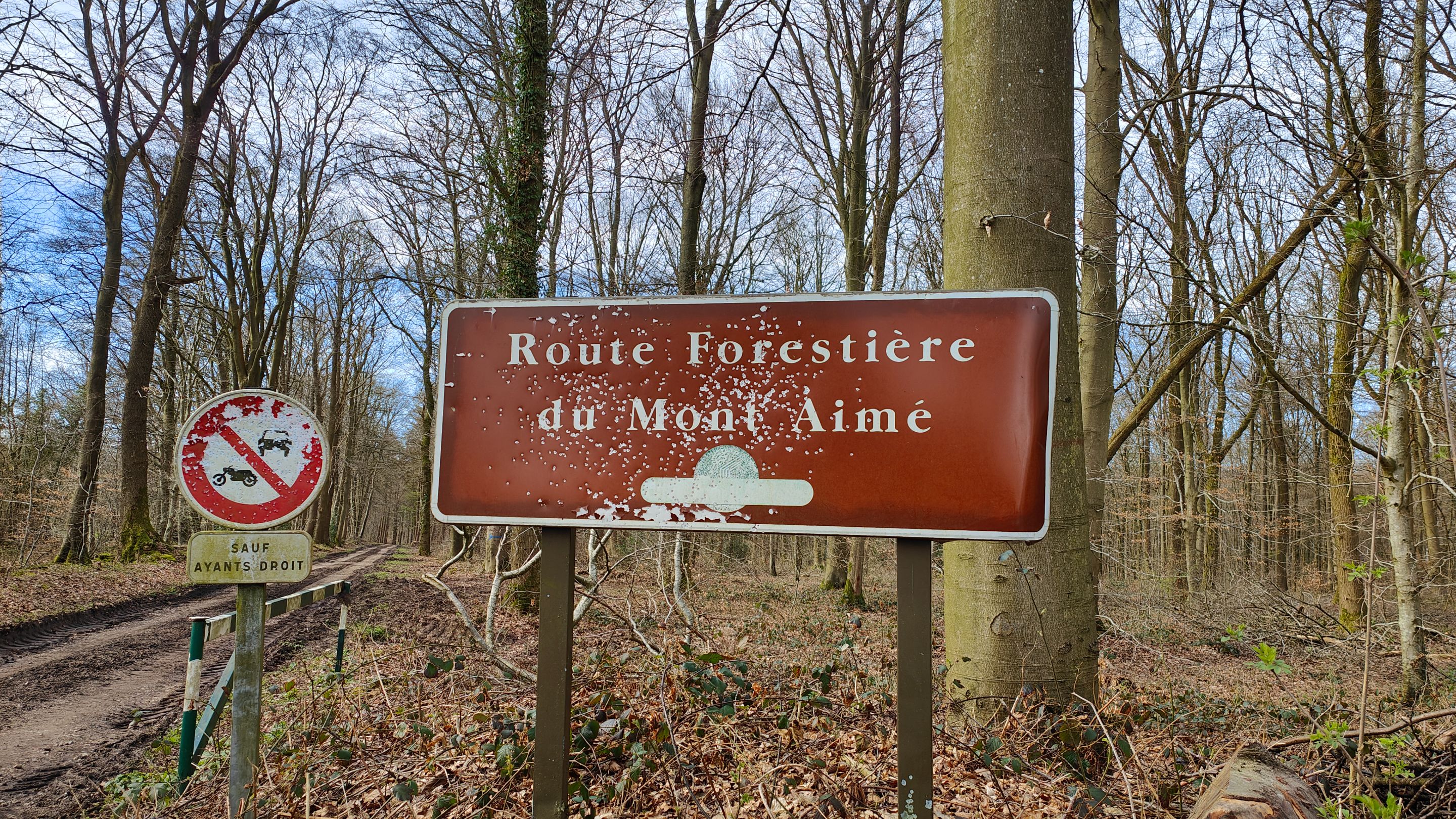 IMG20240320150541.jpg