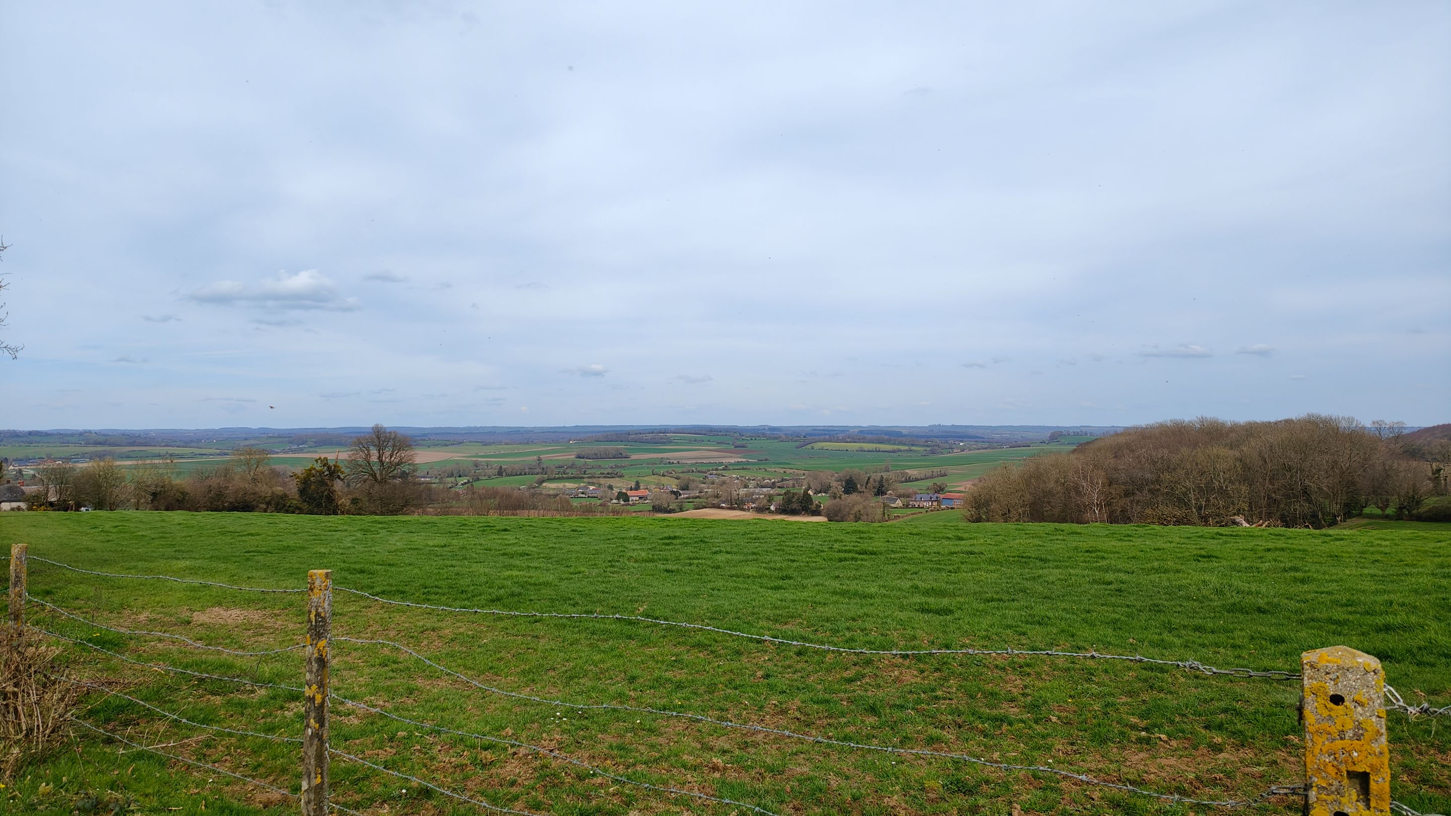 IMG20240320143438.jpg