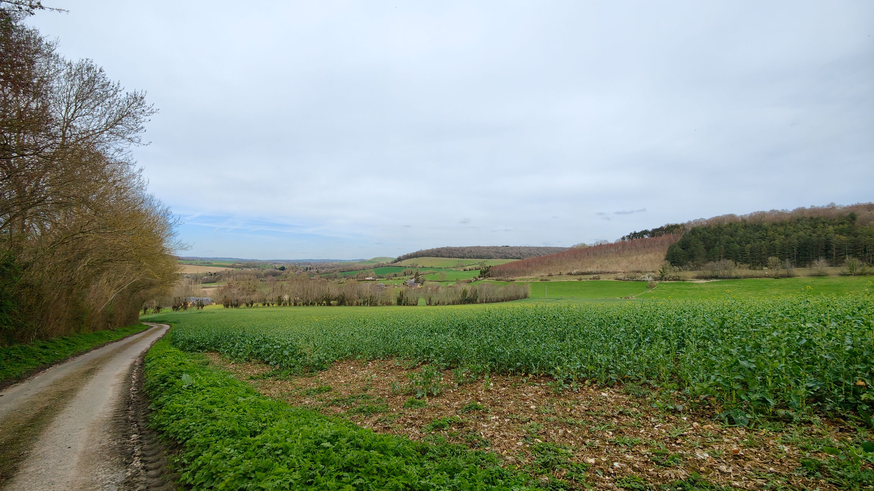 IMG20240320135047.jpg