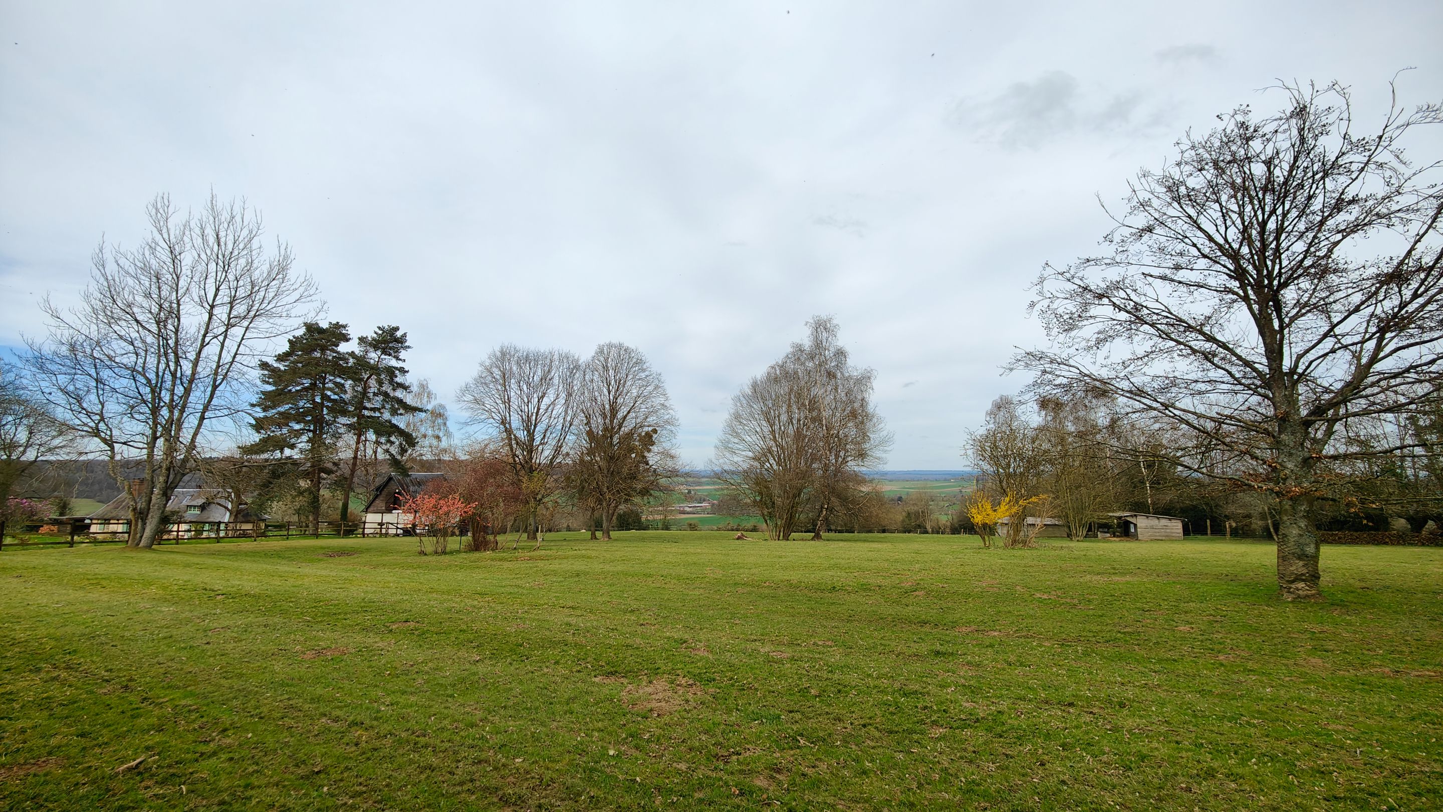 IMG20240320143110.jpg