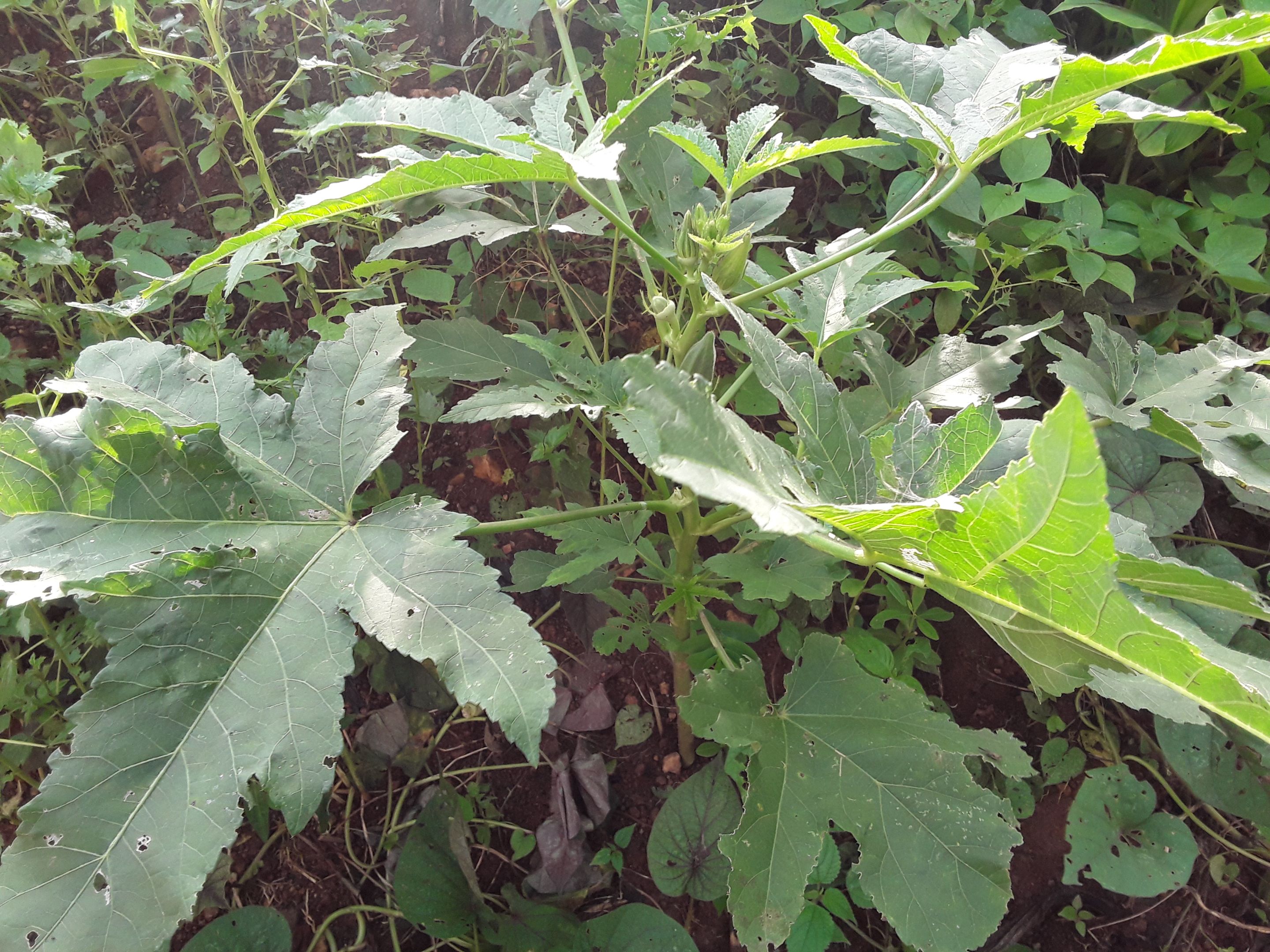 20230819_175115.jpg