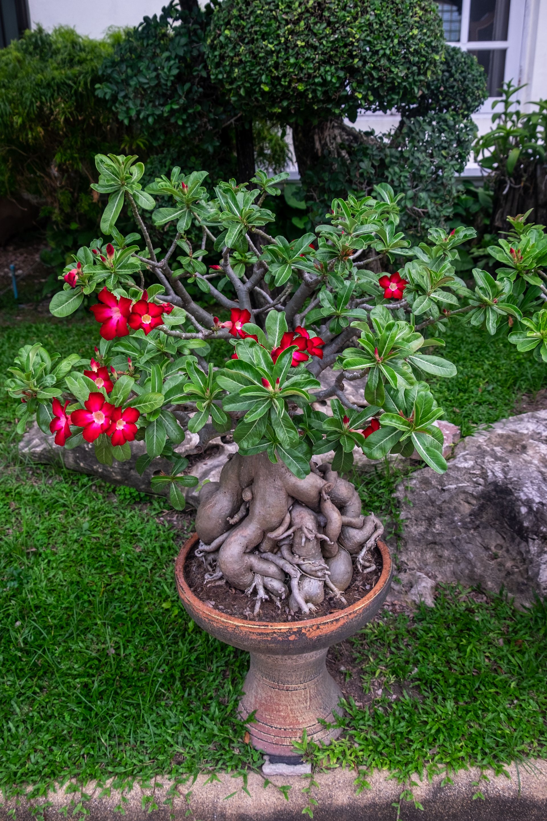 DSCF1226.jpg